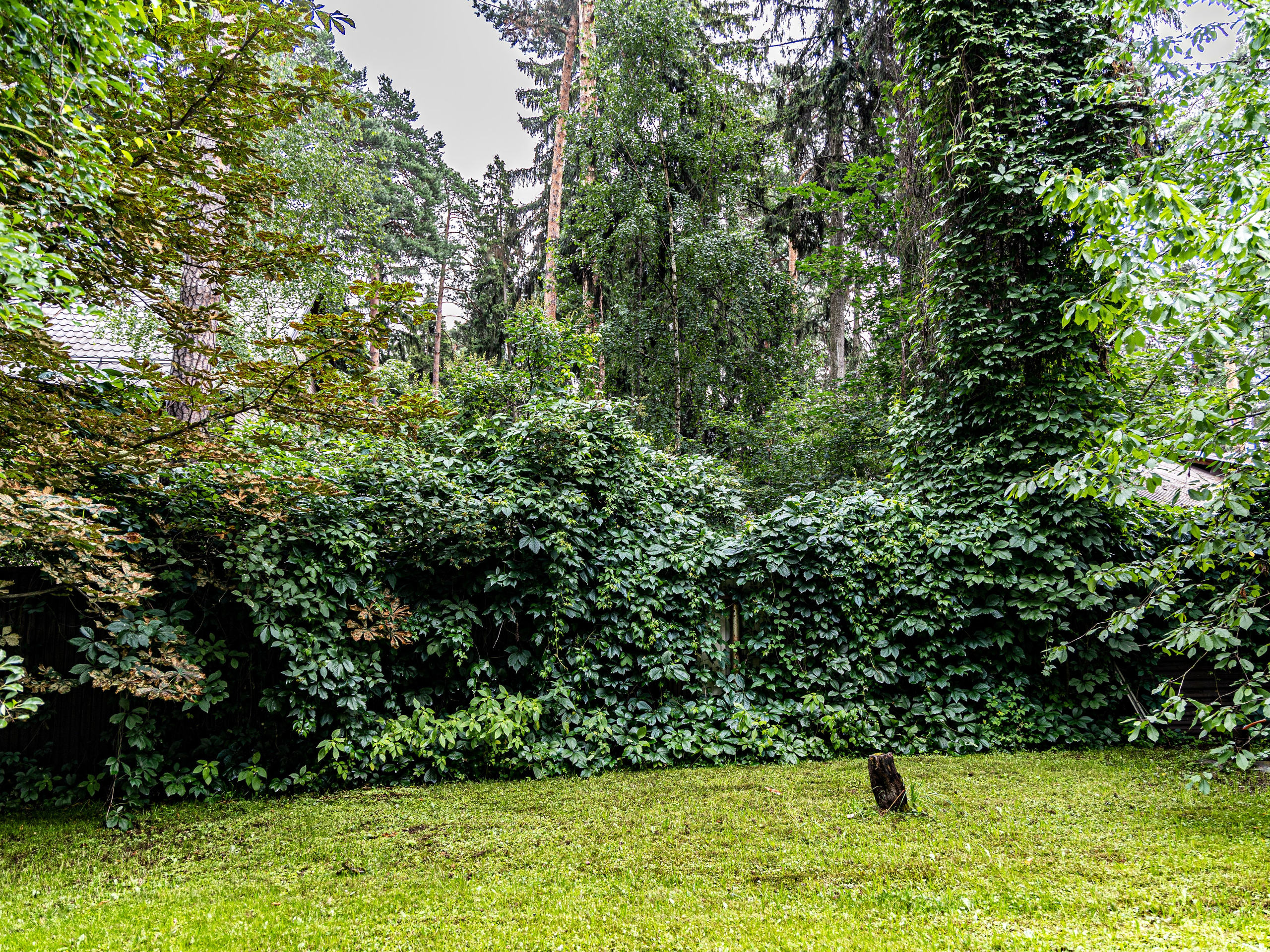 Фотограф Татьяна Марсуверских г. Жуковский, Москва и Мо. Репортажные съёмки, фотосессии. Детский, семейный фотограф. Фотограф для маркетплейсов, фотоуслуги в Жуковском Татьяна Марсуверских