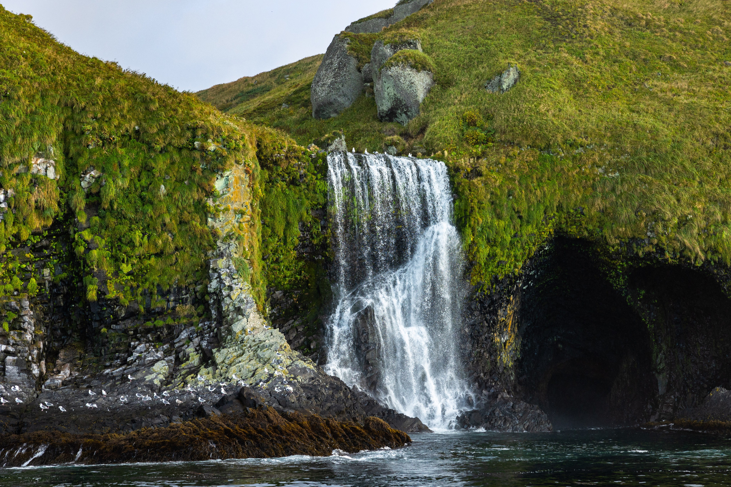 Экспедиция по Северным Курильским островам с Vasta. Фотограф Красная Поляна — Сочи — Москва
