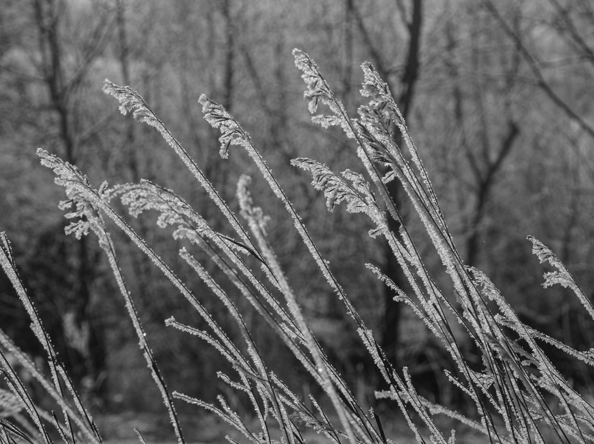 Разное. Репортажный фотограф г. Чита