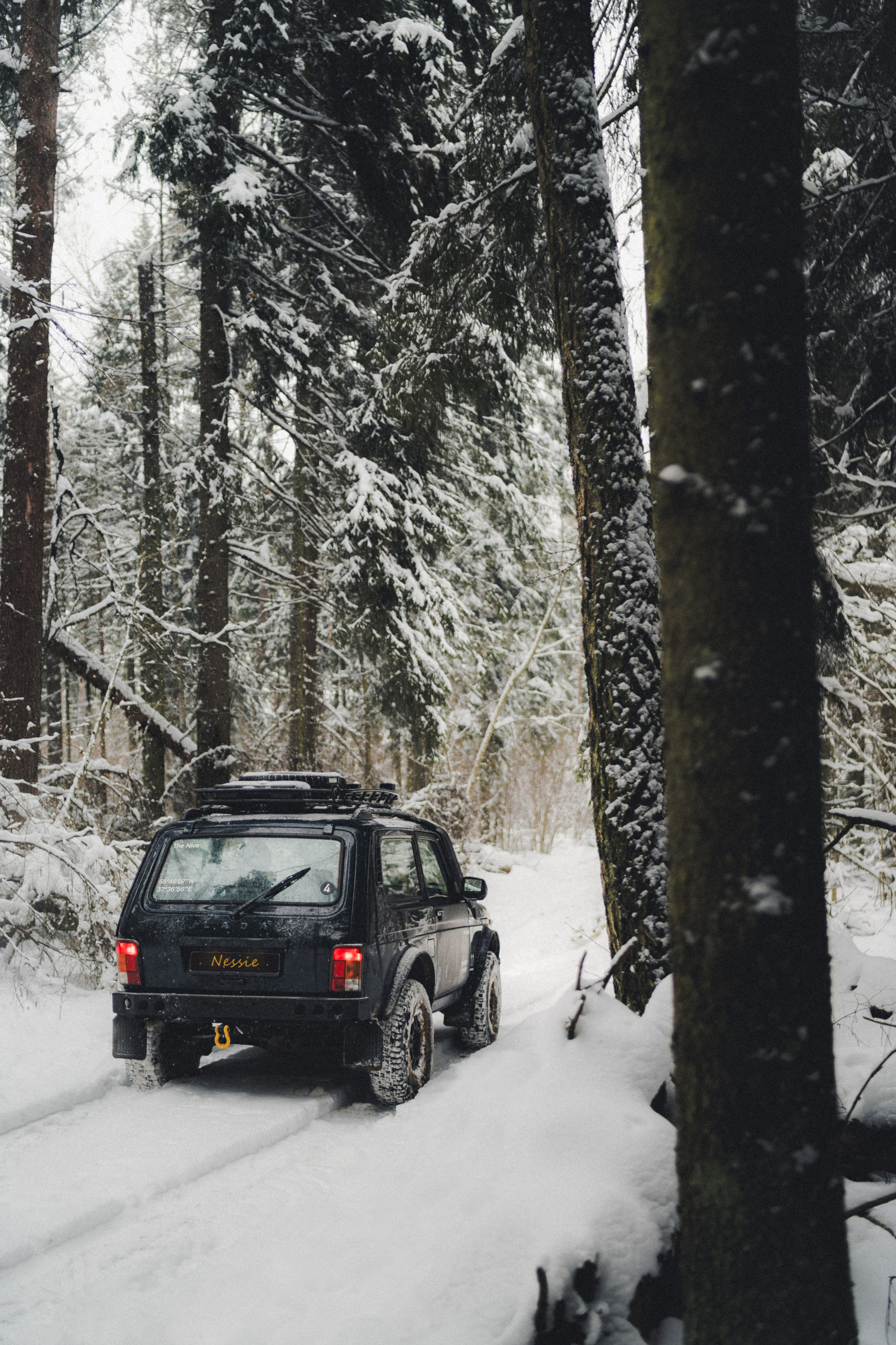 Niva Bronto (Nessie) x FAUNO. Фотограф Илья К. в Москве