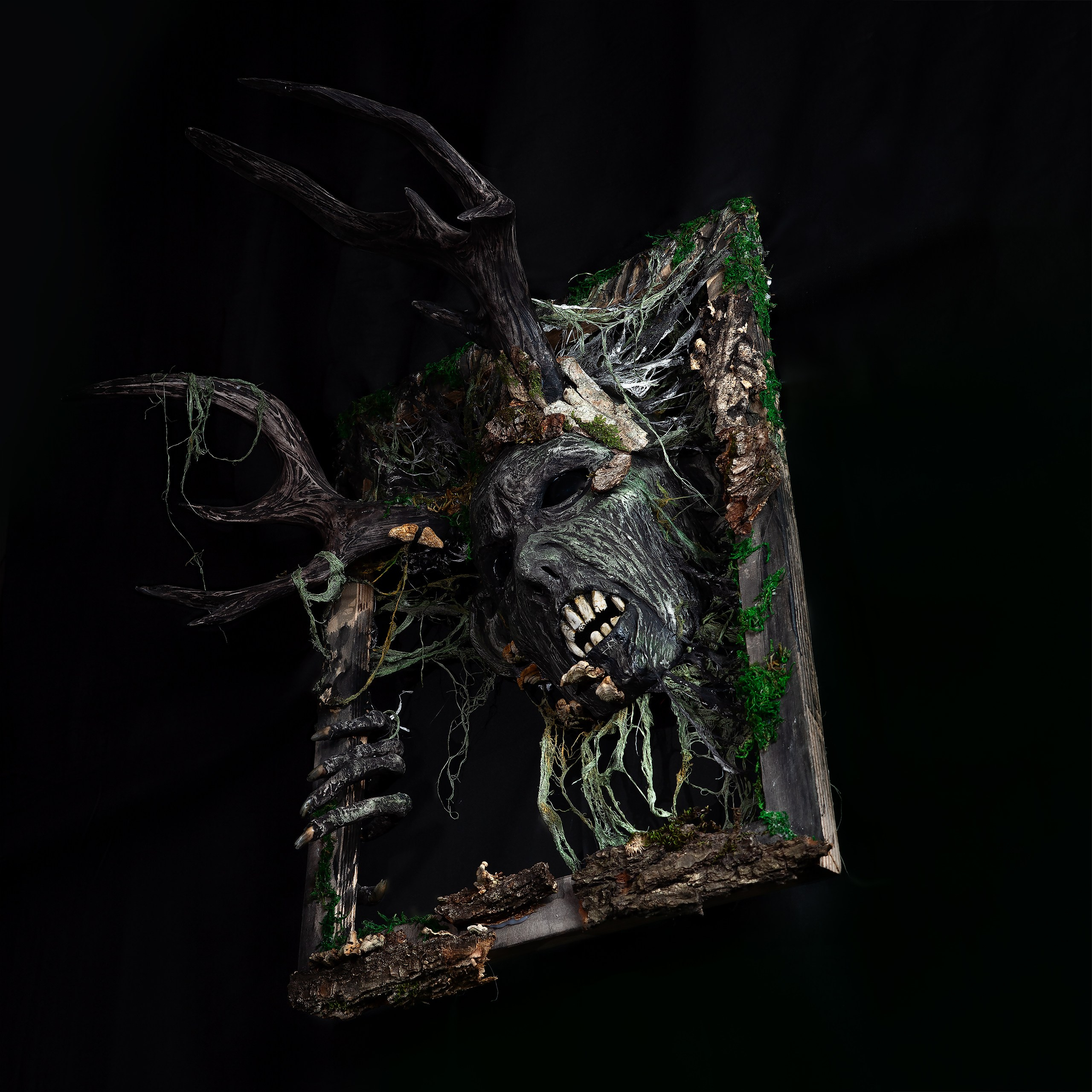 Картины. Фотограф анималист Никита Натальный