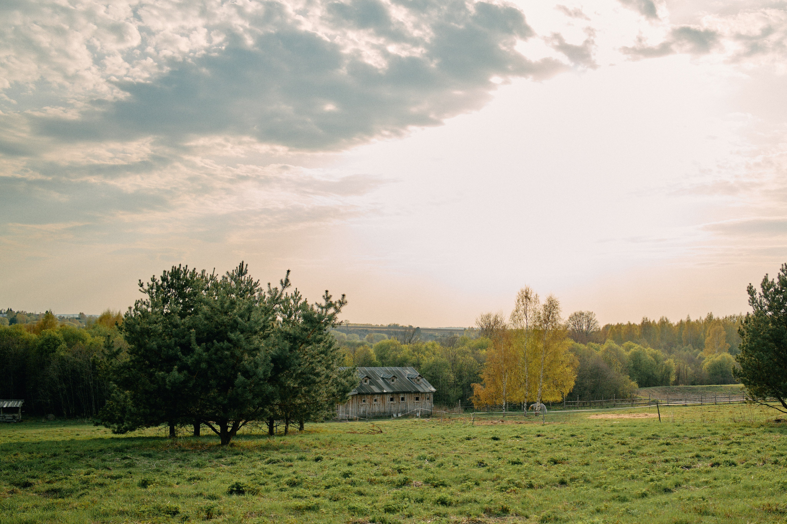 Бутик-отель Поле летом. Профессиональный Фотограф во Владимире, в Москве и в Суздале — Полина Романычева