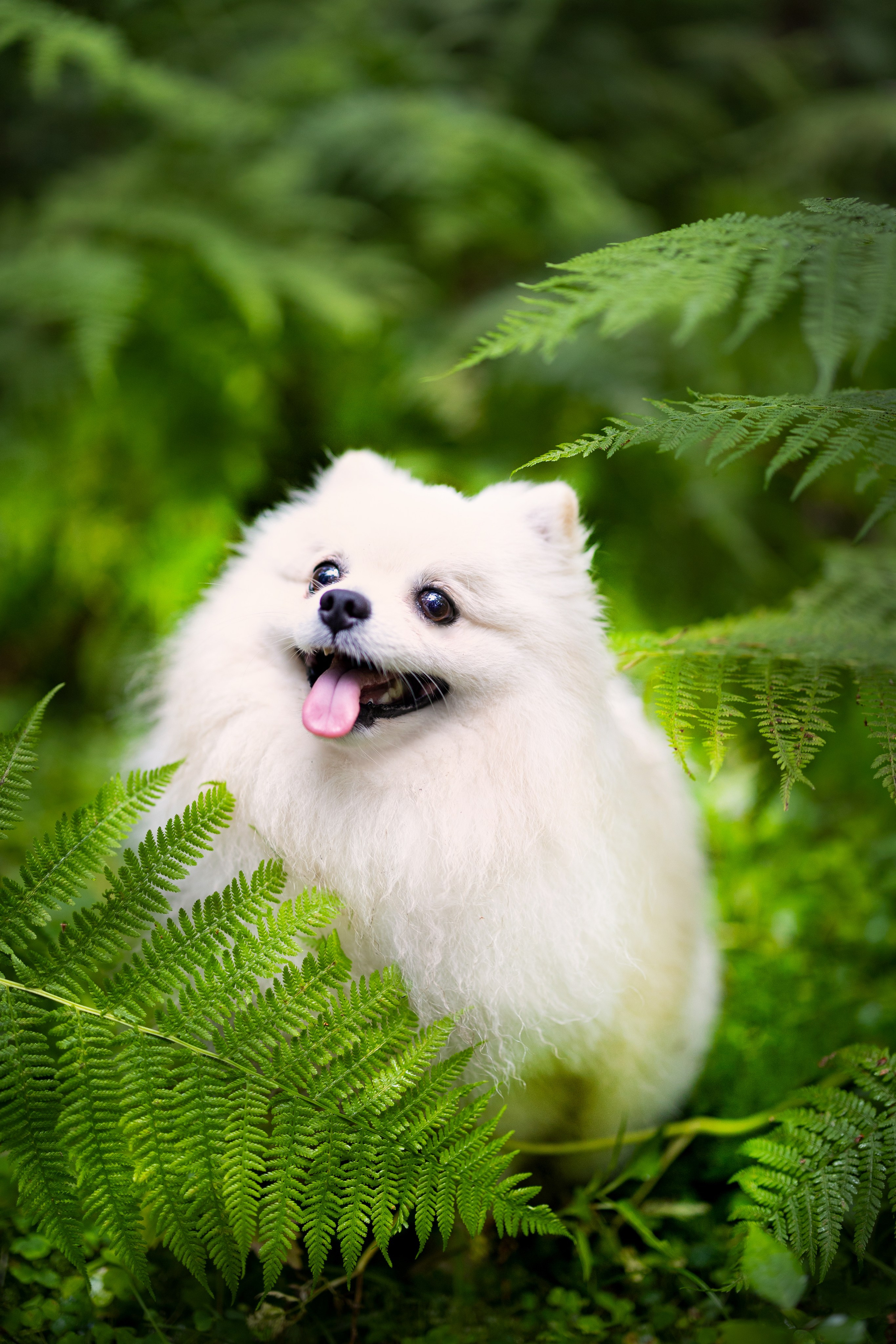 PRO АЛЬБОМ | Выпускные альбомы Иваново Ярославль
