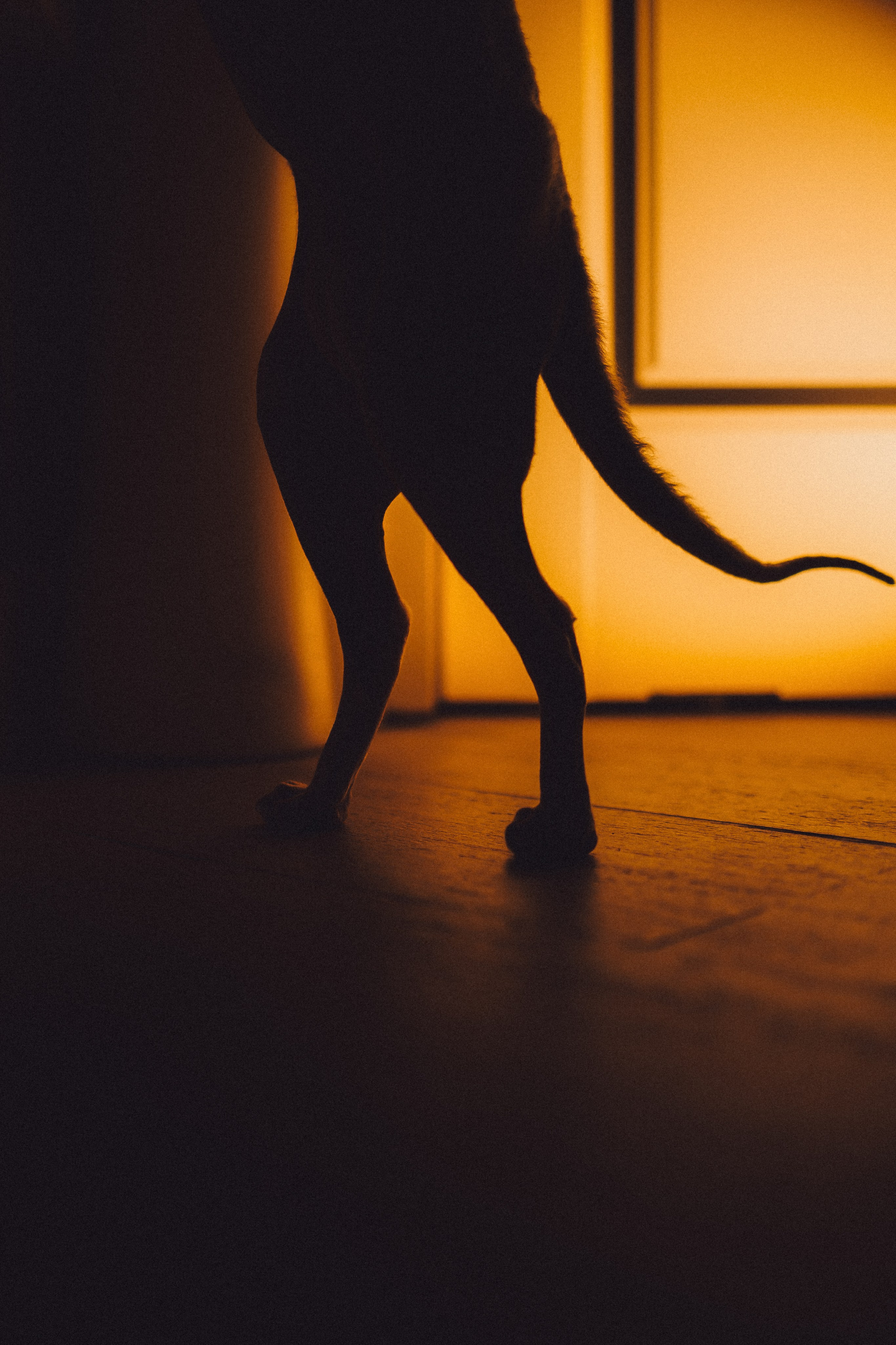 Топик и его семья