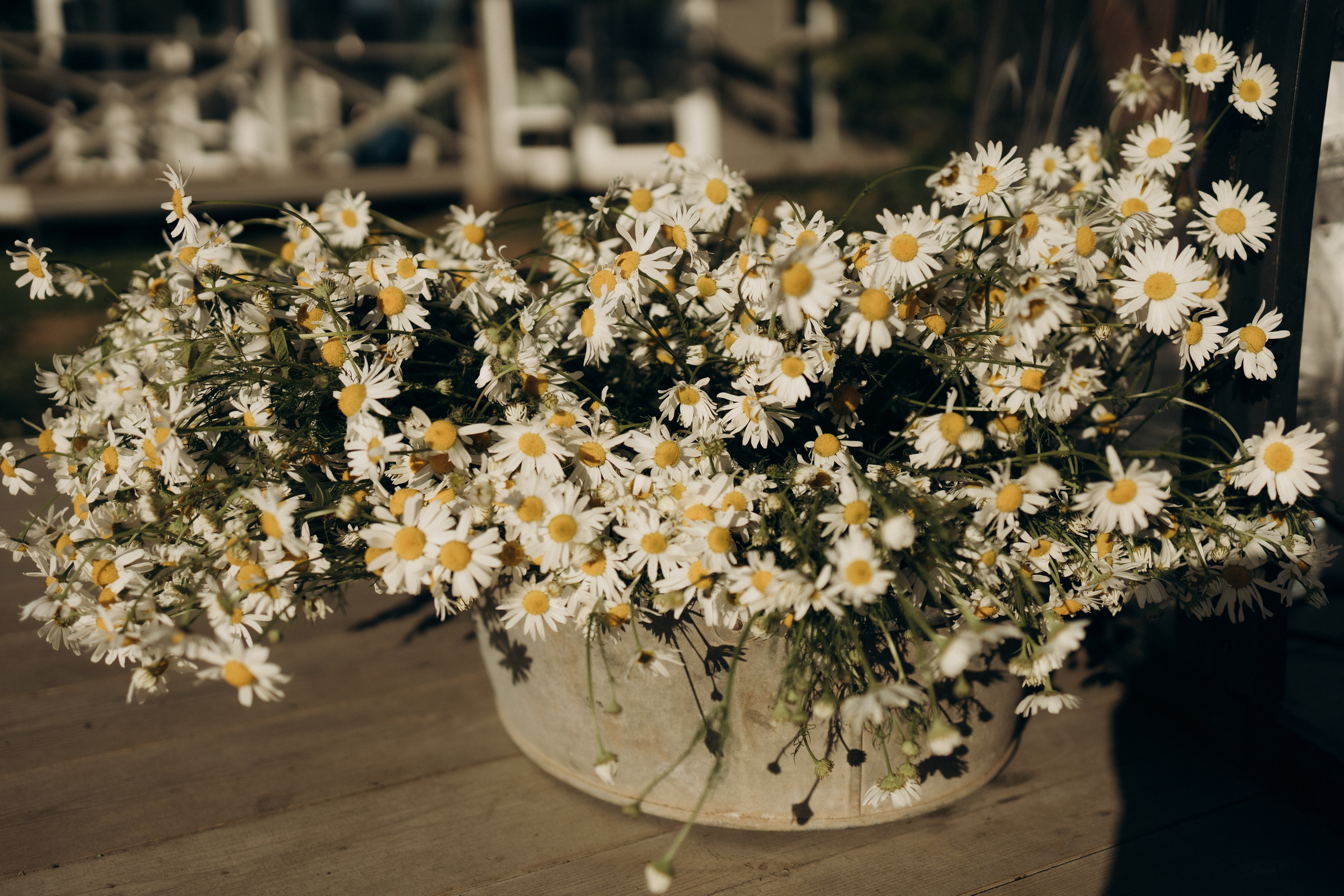 Фотопроект День Ивана Купала. Семейный фотограф в Ижевске Даша Денисова