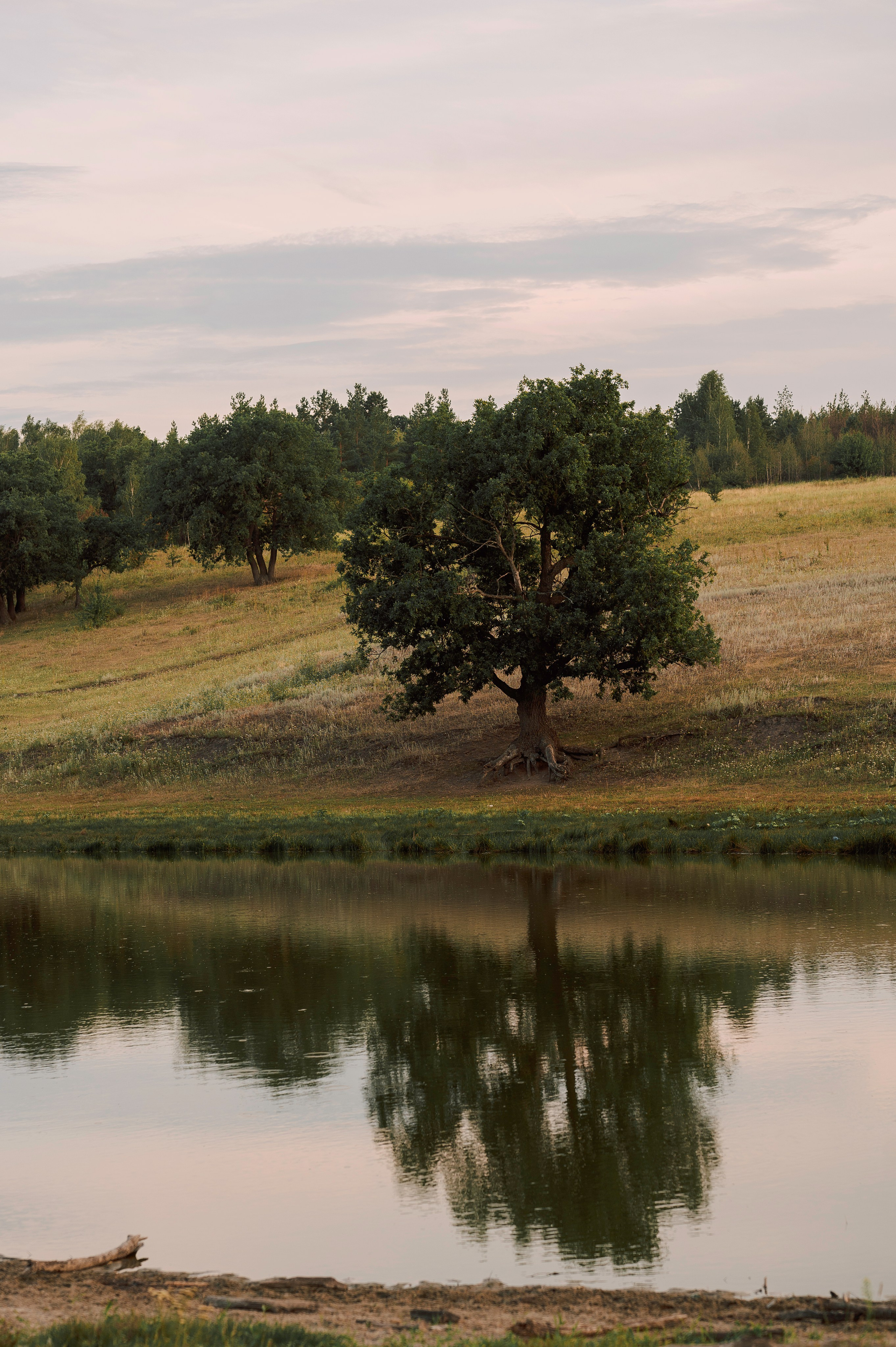 Семейные. Ольга Панюшкина. Женский и детский фотограф в Пензе