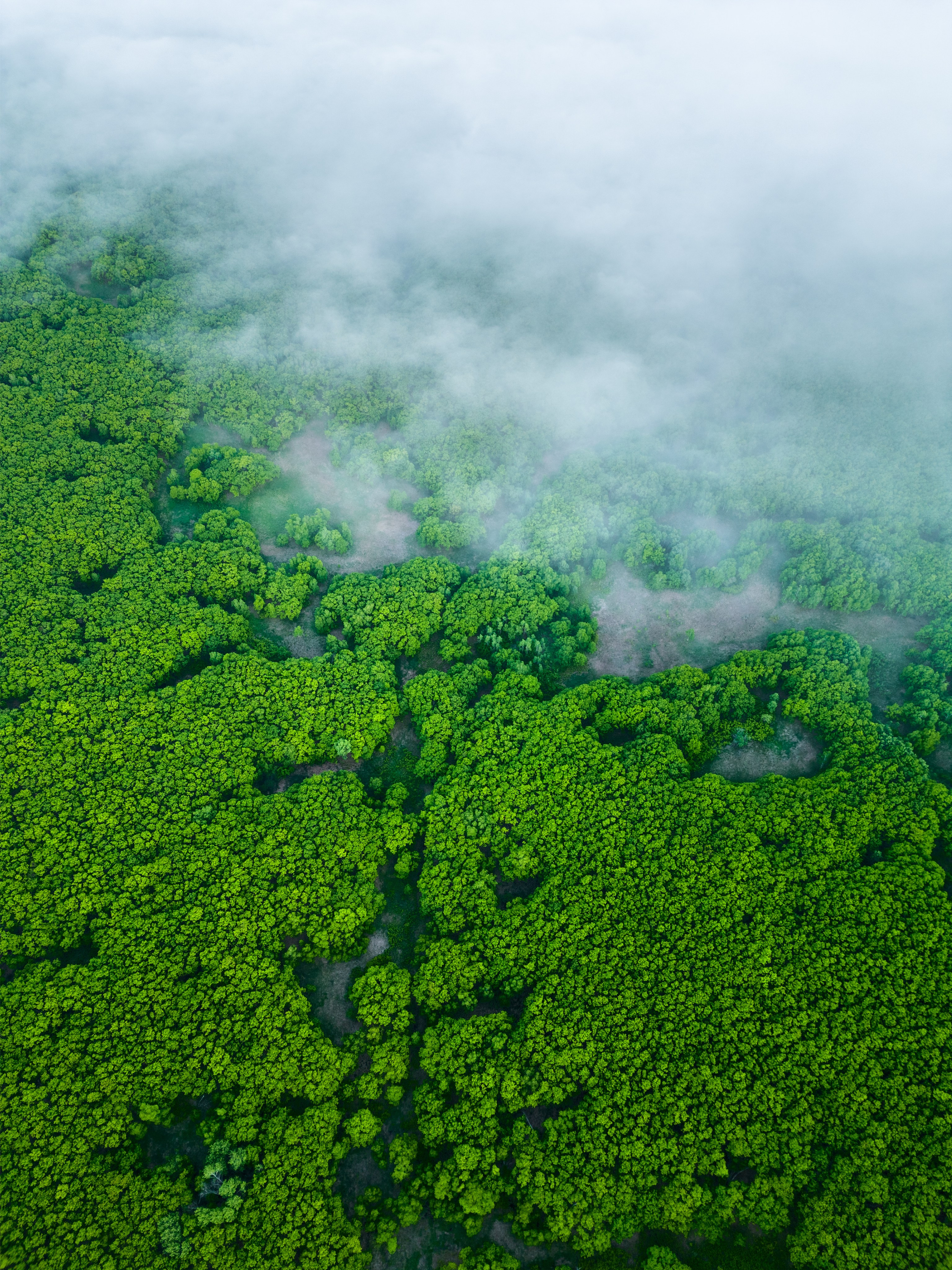 Осень в Северном Приморье