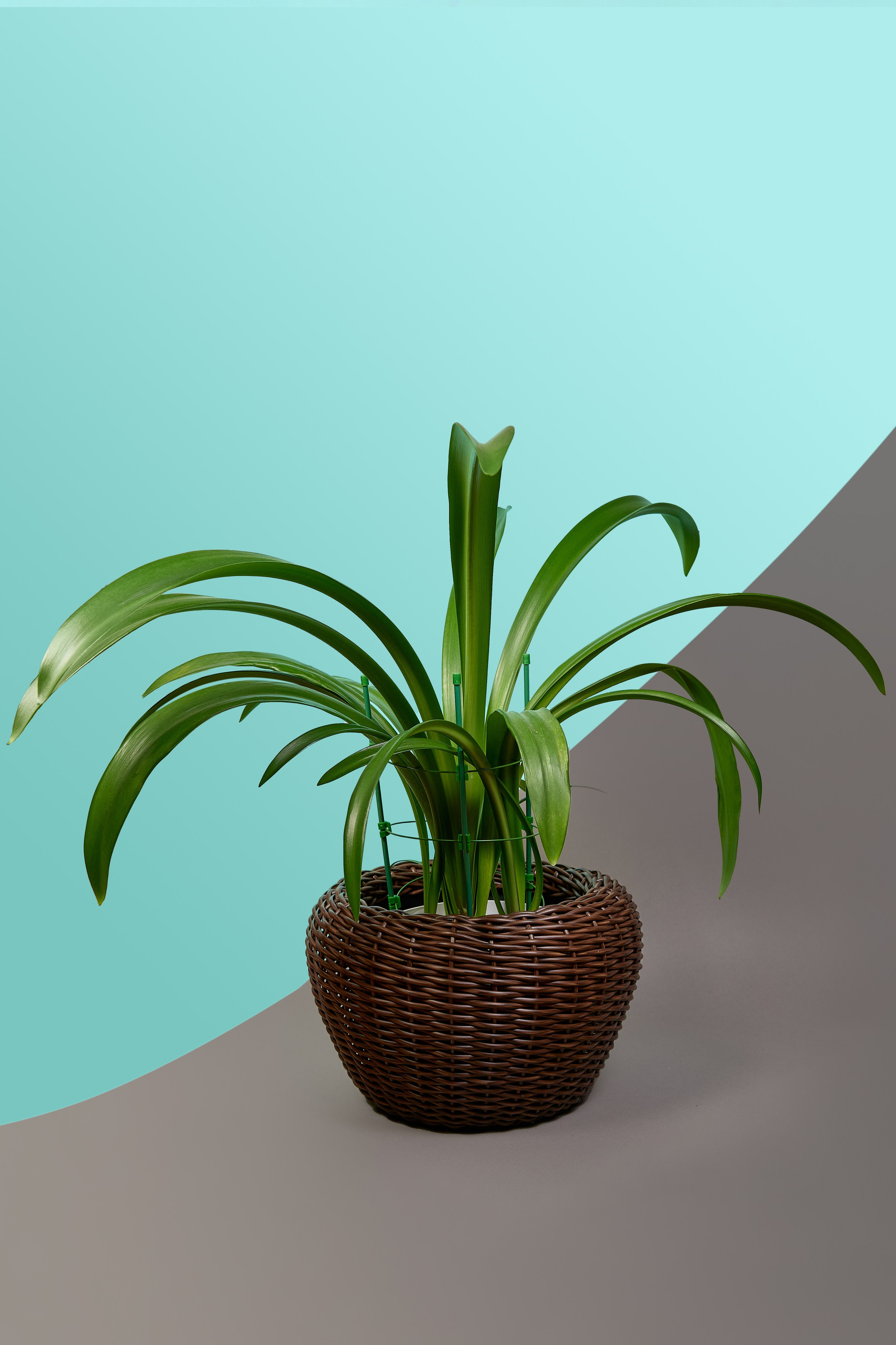 Фотосъёмка для маркетплейсов. Предметный и репортажный фотограф Алексей Кротов