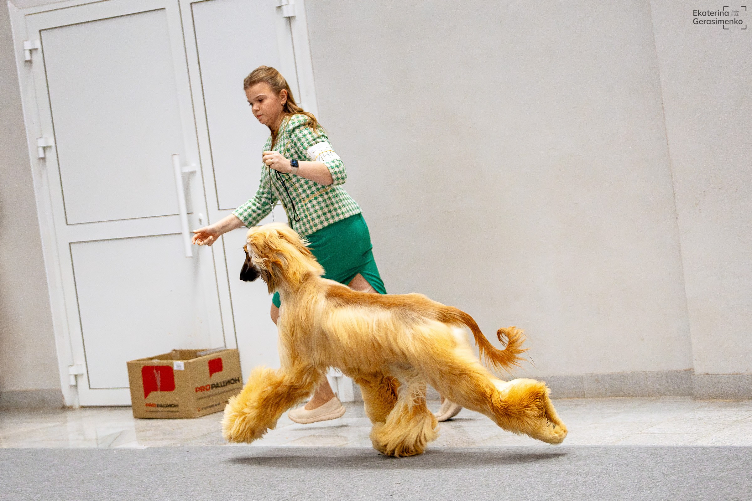 18 января 2025, Выставка РКФ, г. Пермь. Htykk_photo