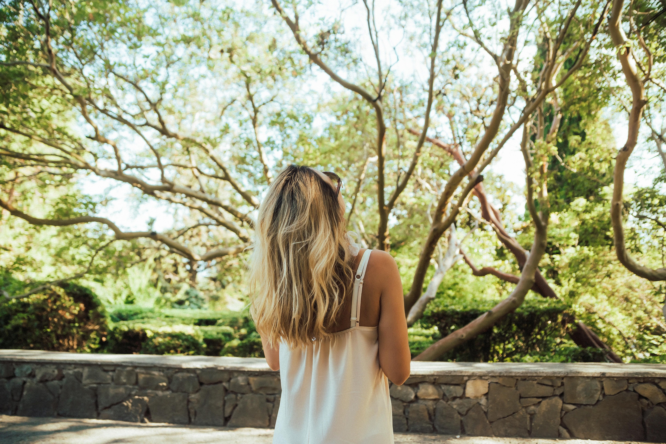 Гуляя по Ялте. Семен Соколов