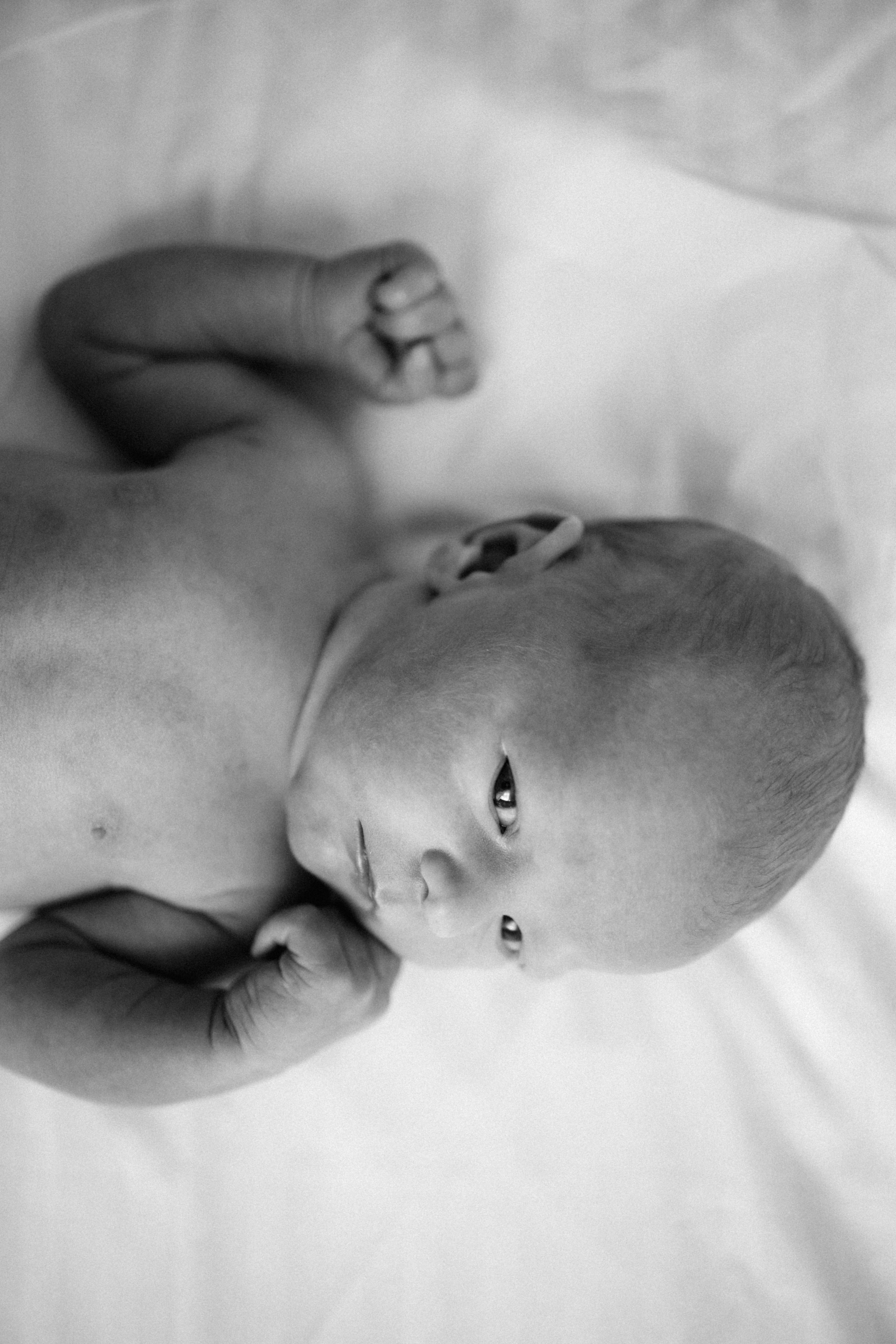 Домашние. Главная