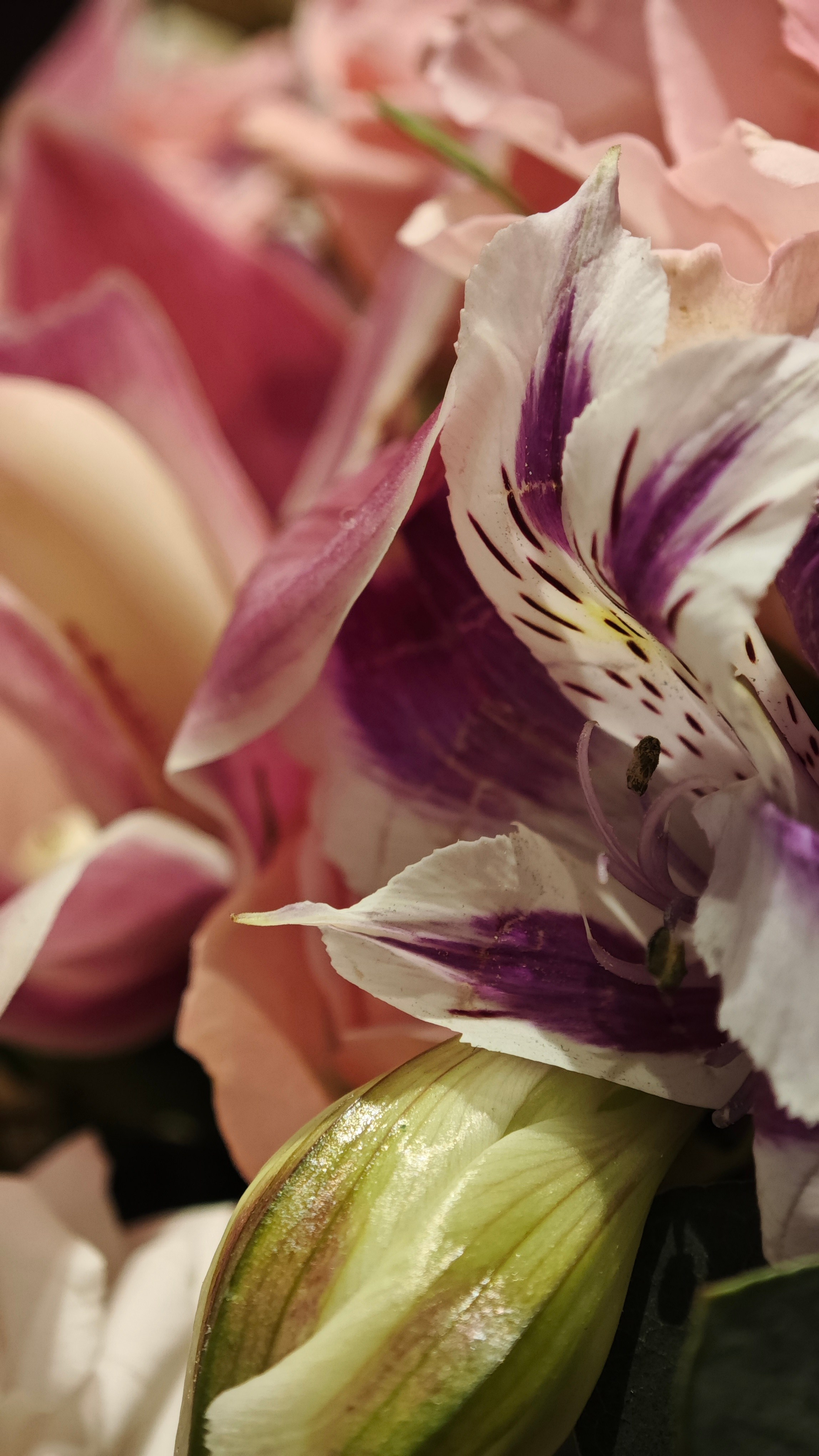 Встречи оффлайн/нетворкинг. Контент фотограф в Москве Кати Федотова