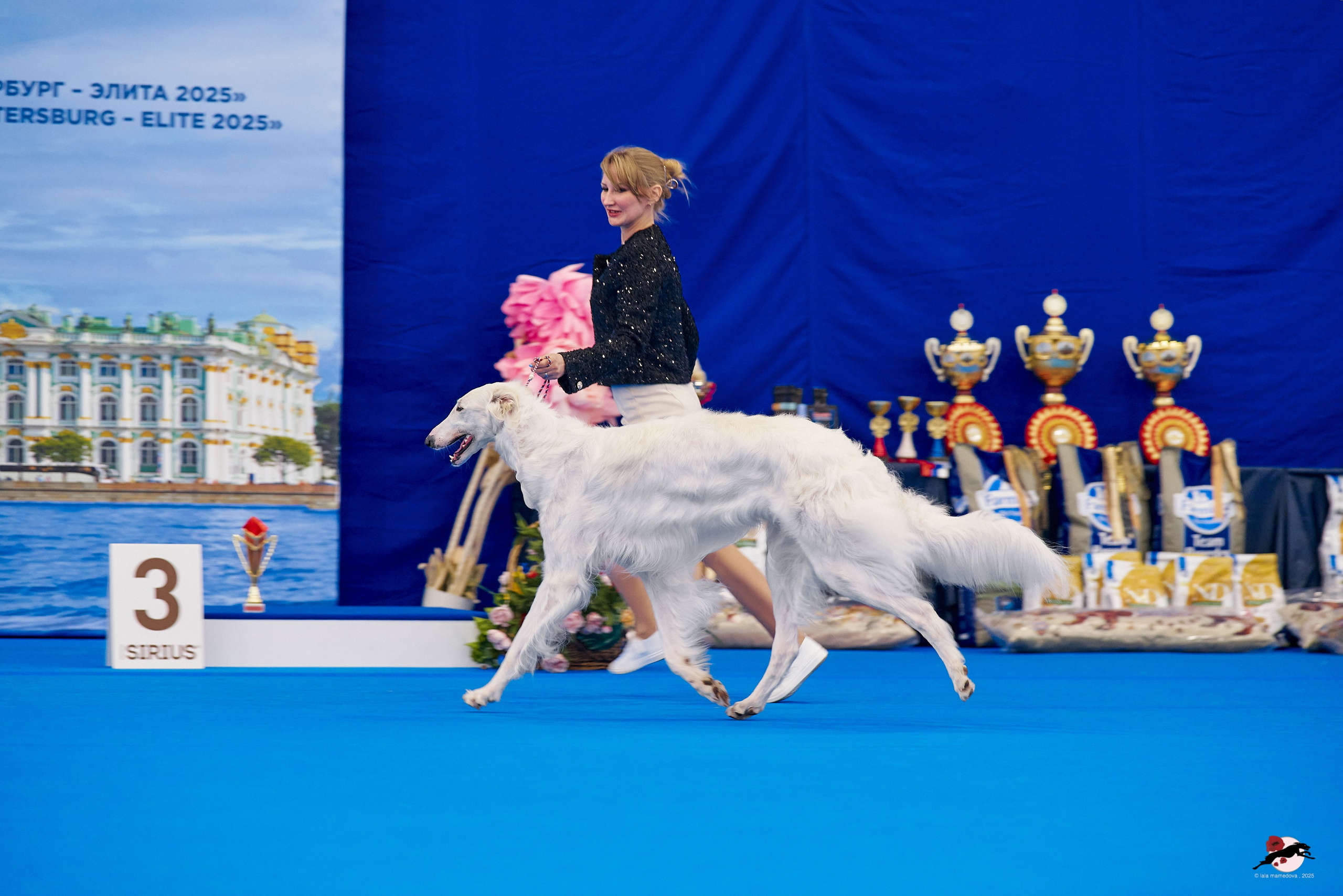 27.04.2025 | "Петербург-Элита 2025" & «КУБОК «ЭЛИТЫ»-2025»