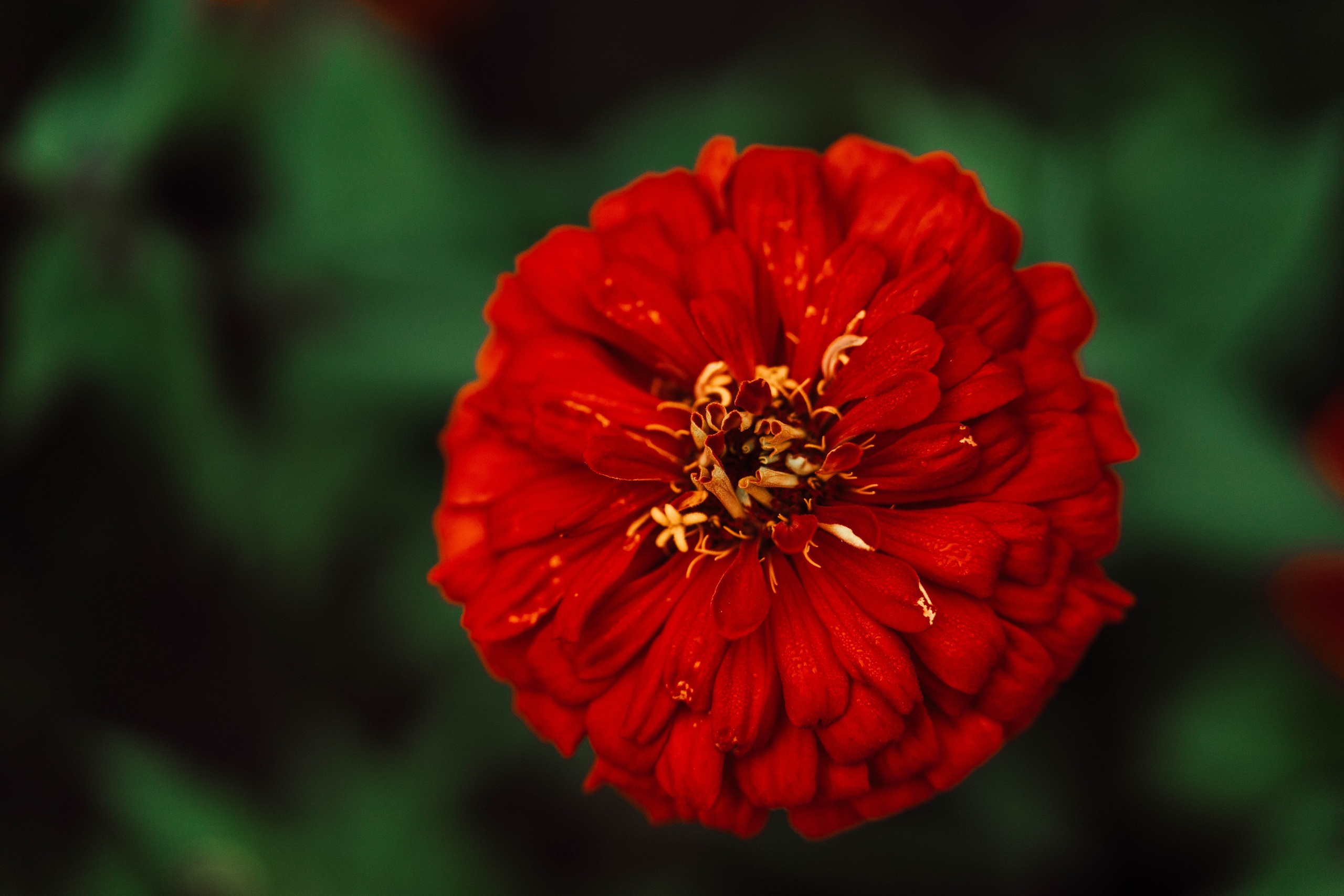 Усть-Каменогорск, Сентябрь 2024