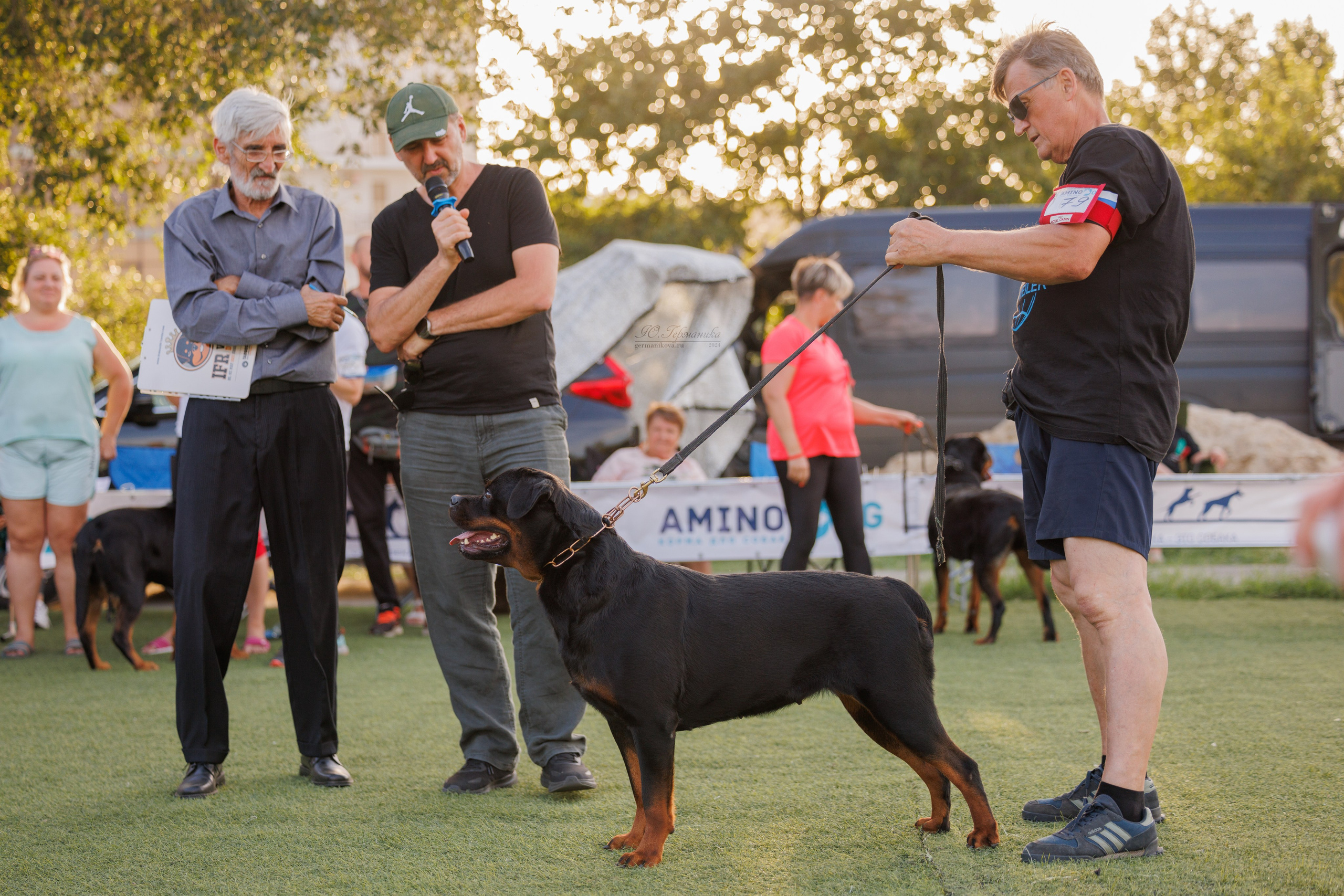 Анапа ротвейлеры 14-15.09.2024. Фотограф-анималист Юлия Германика