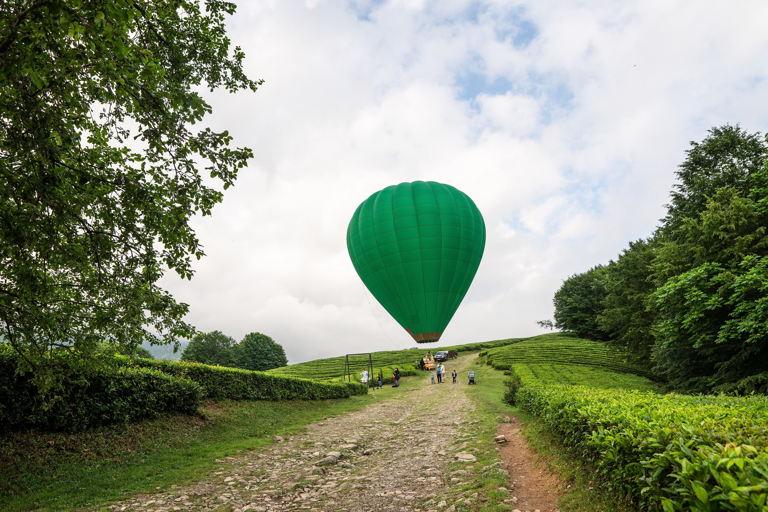 Фотограф на праздник Сочи. Фотограф Сочи
