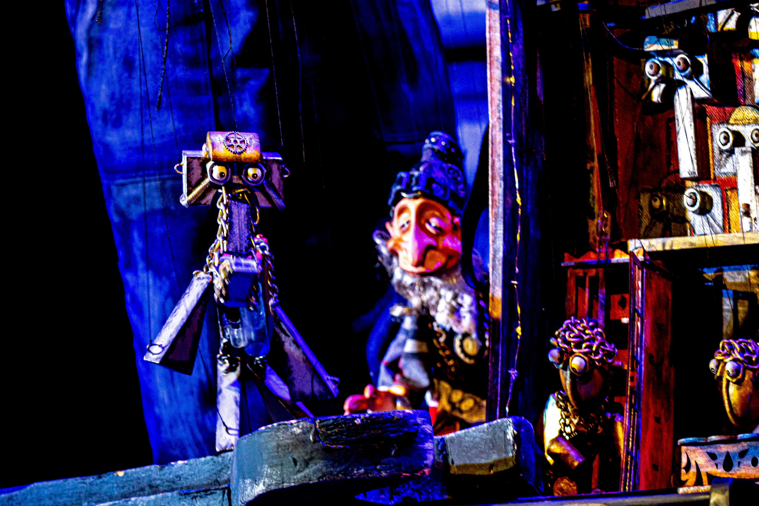 Театрп гномов или настоящие друзья. Фотограф в Сочи Юрий Шептаев