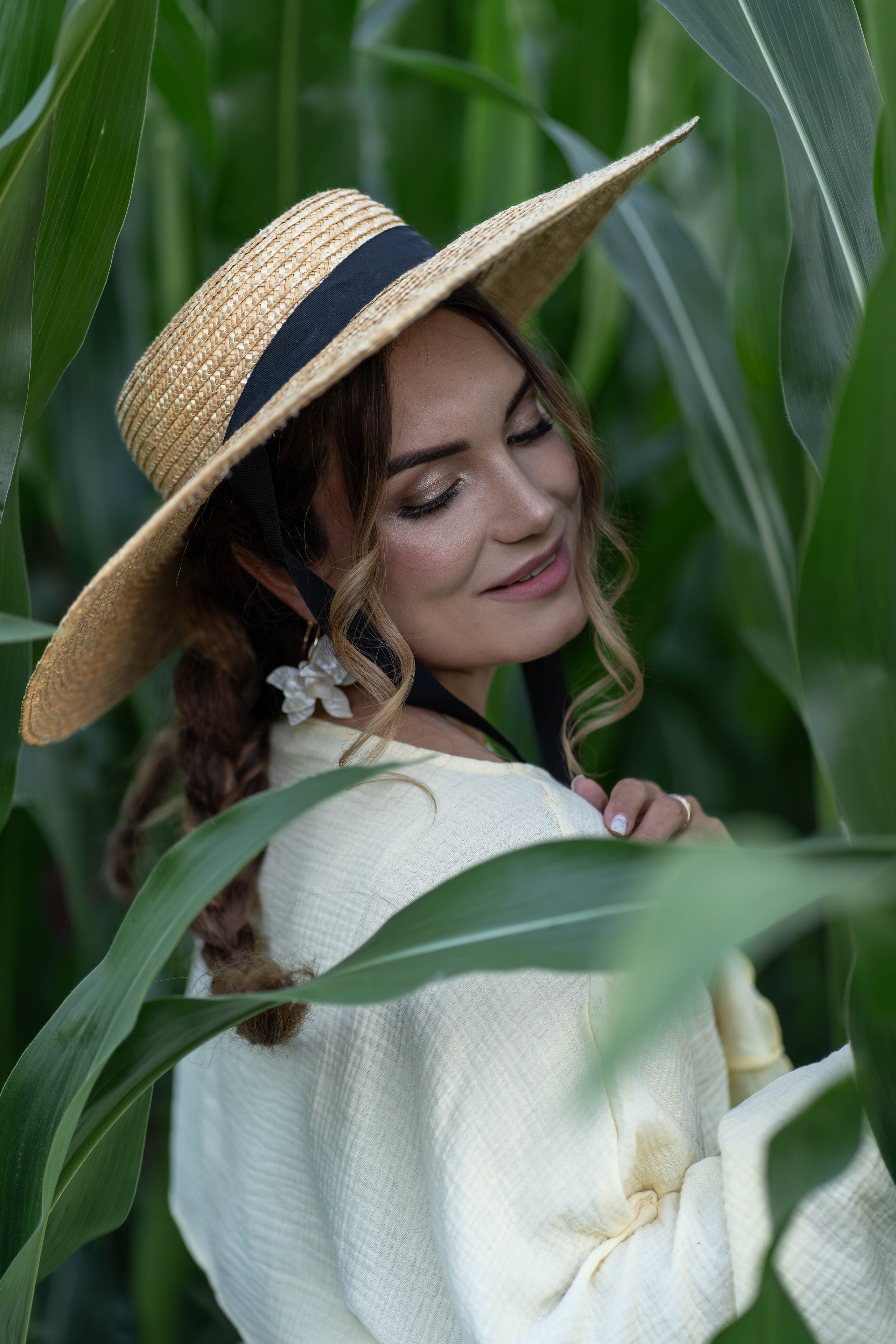 Кукурузное поле. Главная