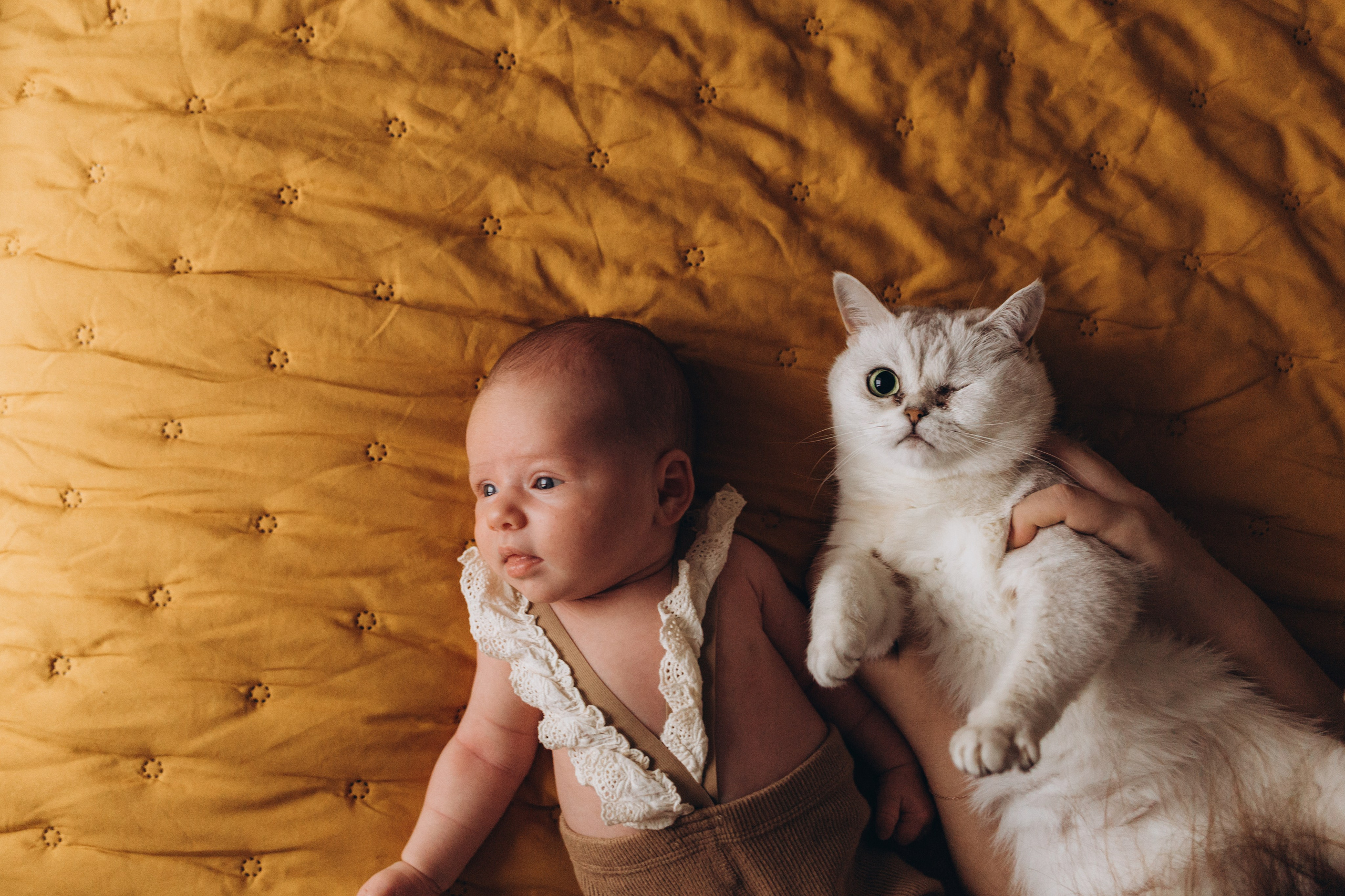 Lifestyle. Фотограф новорожденных в Санкт-Петербурге Белова Екатерина