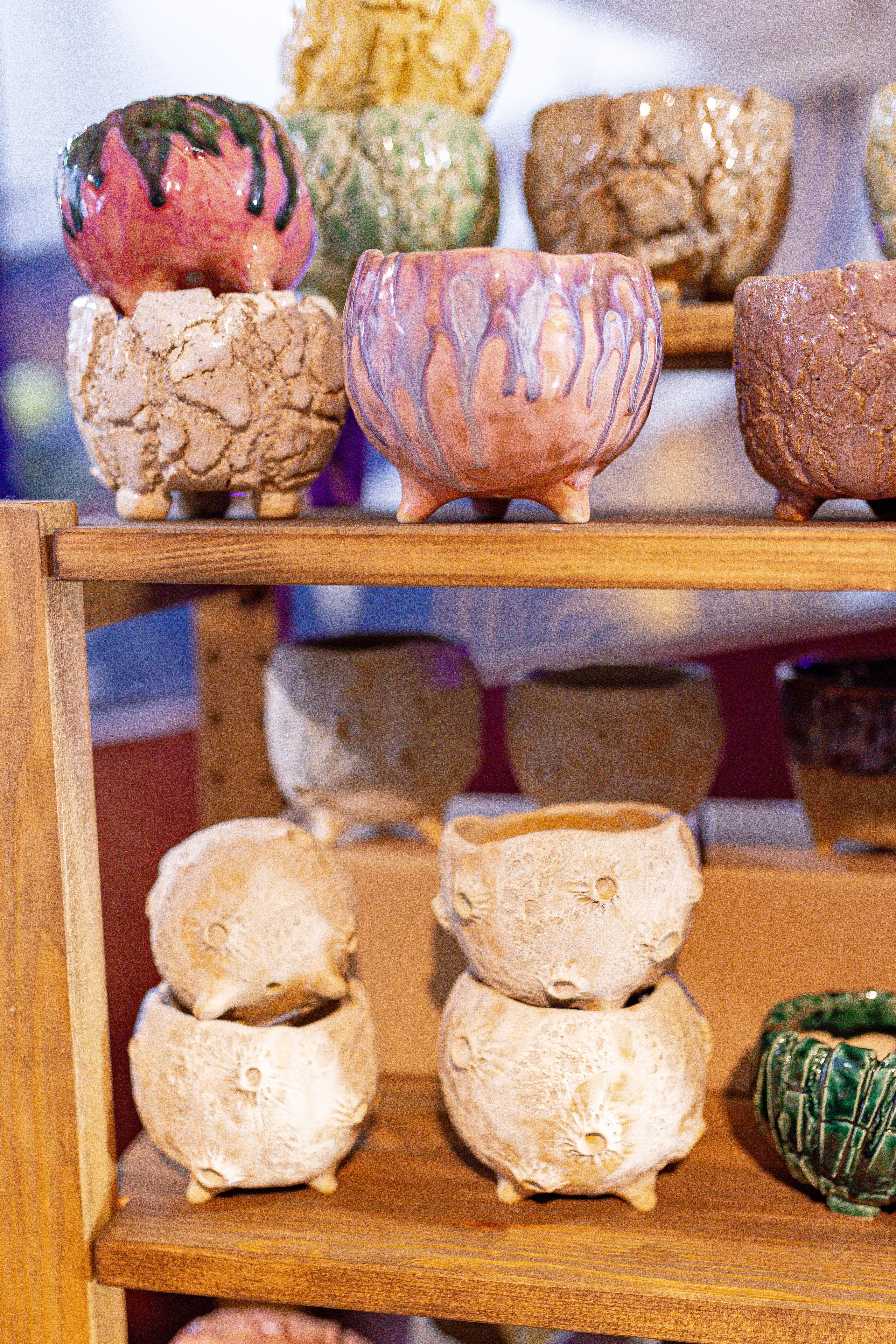 Growbox 1–2 марта. Александра Куликова фотограф, Москва