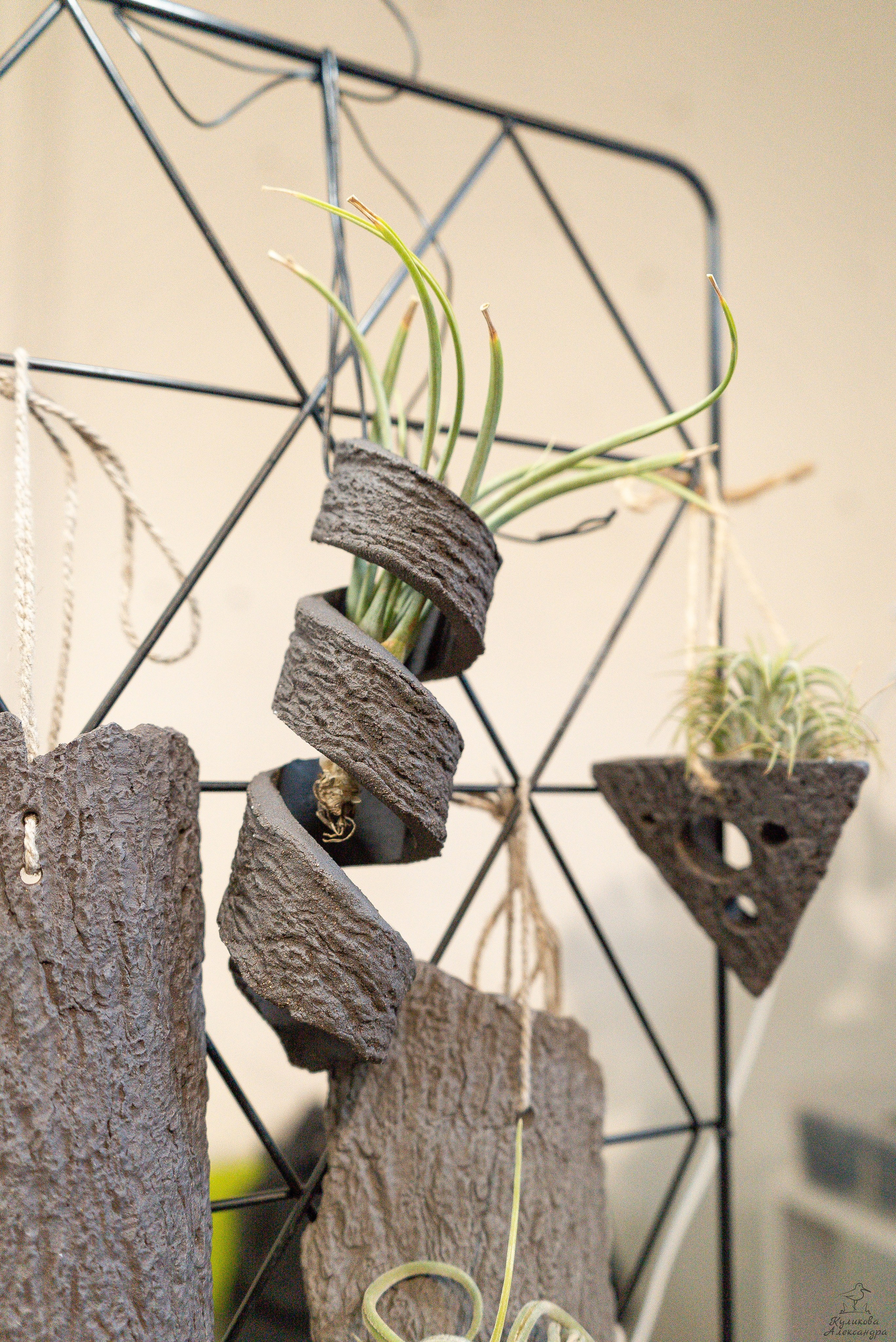 Гроубокс Артплей апрель. Александра Куликова фотограф, Москва