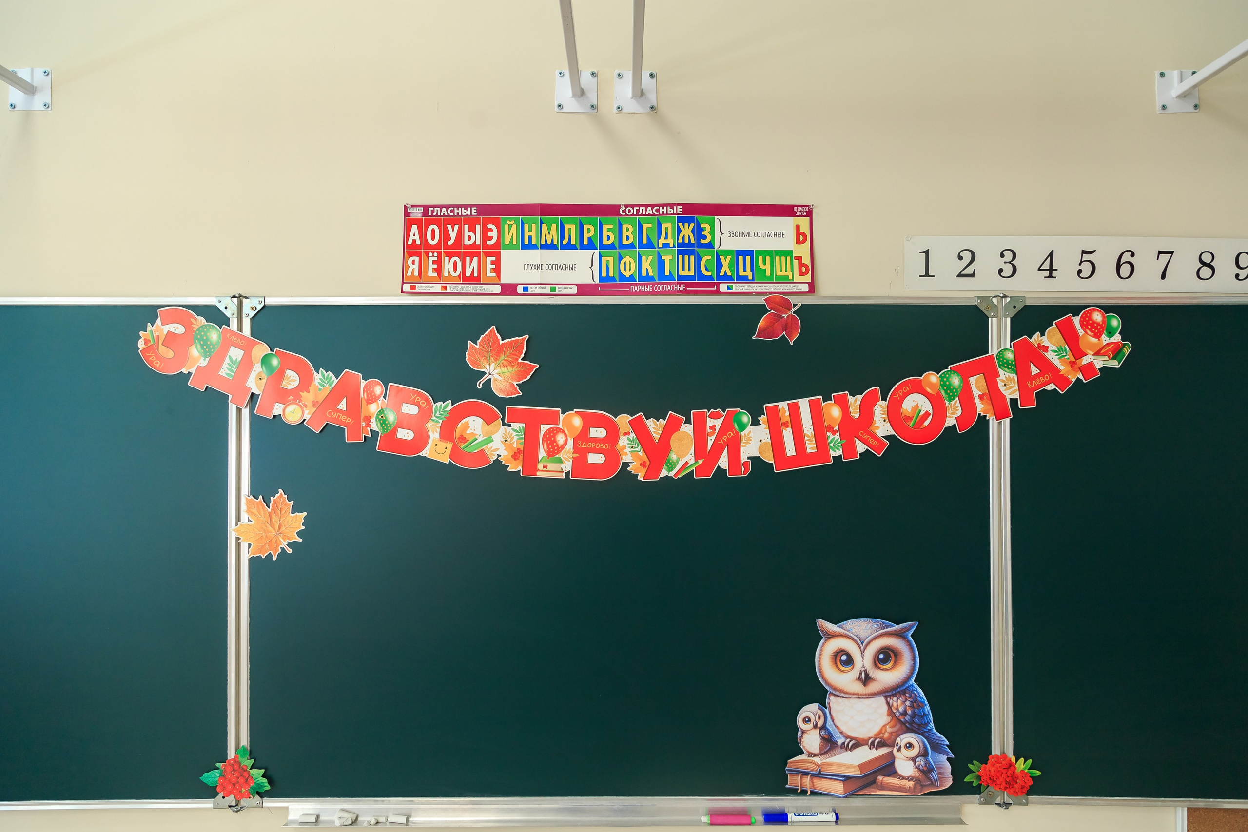 1 Сентября. Фотограф в Санкт-Петербурге Чумаков Семен