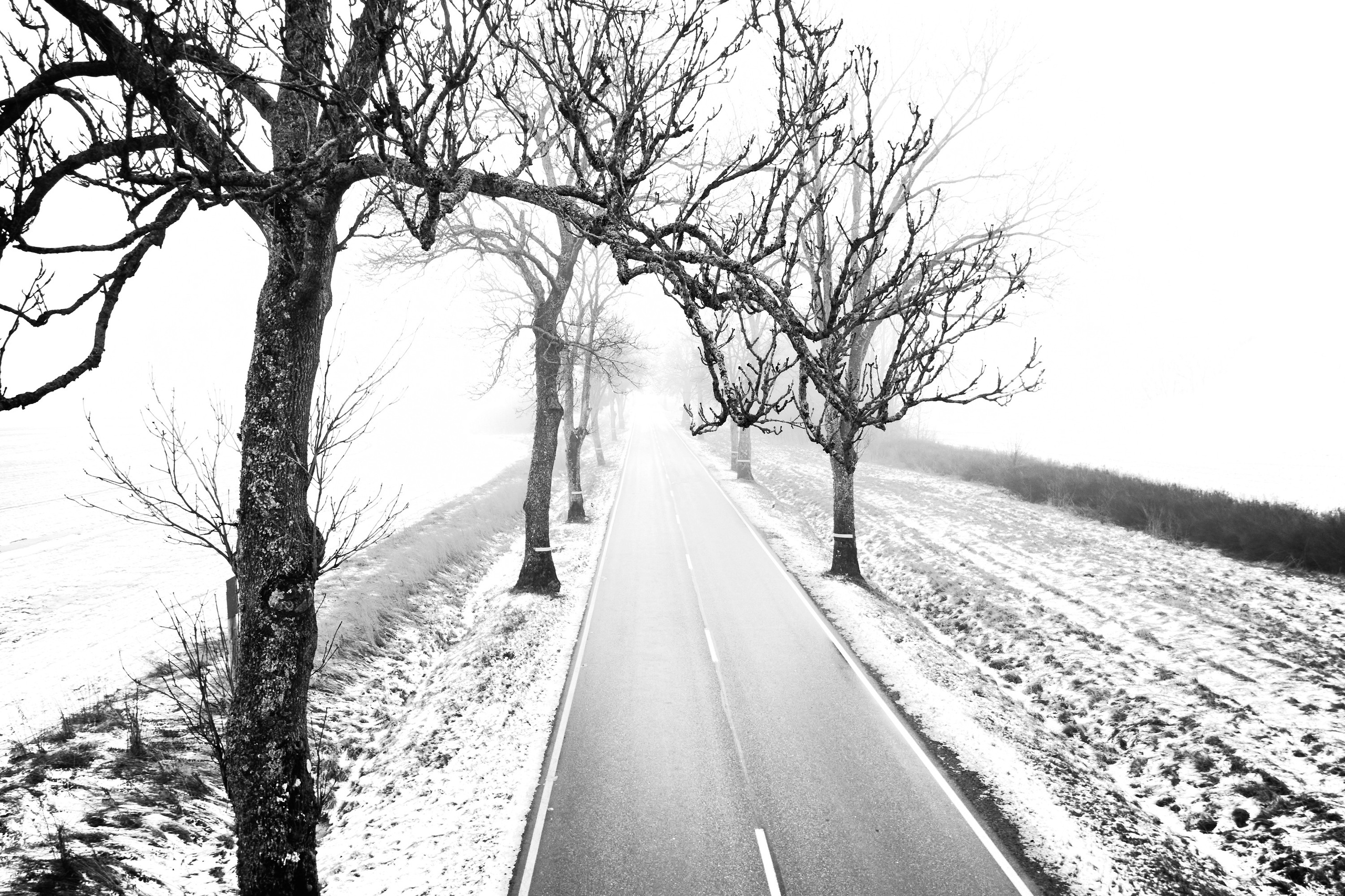 Аэросъёмка. Creative photographer Denis Klero