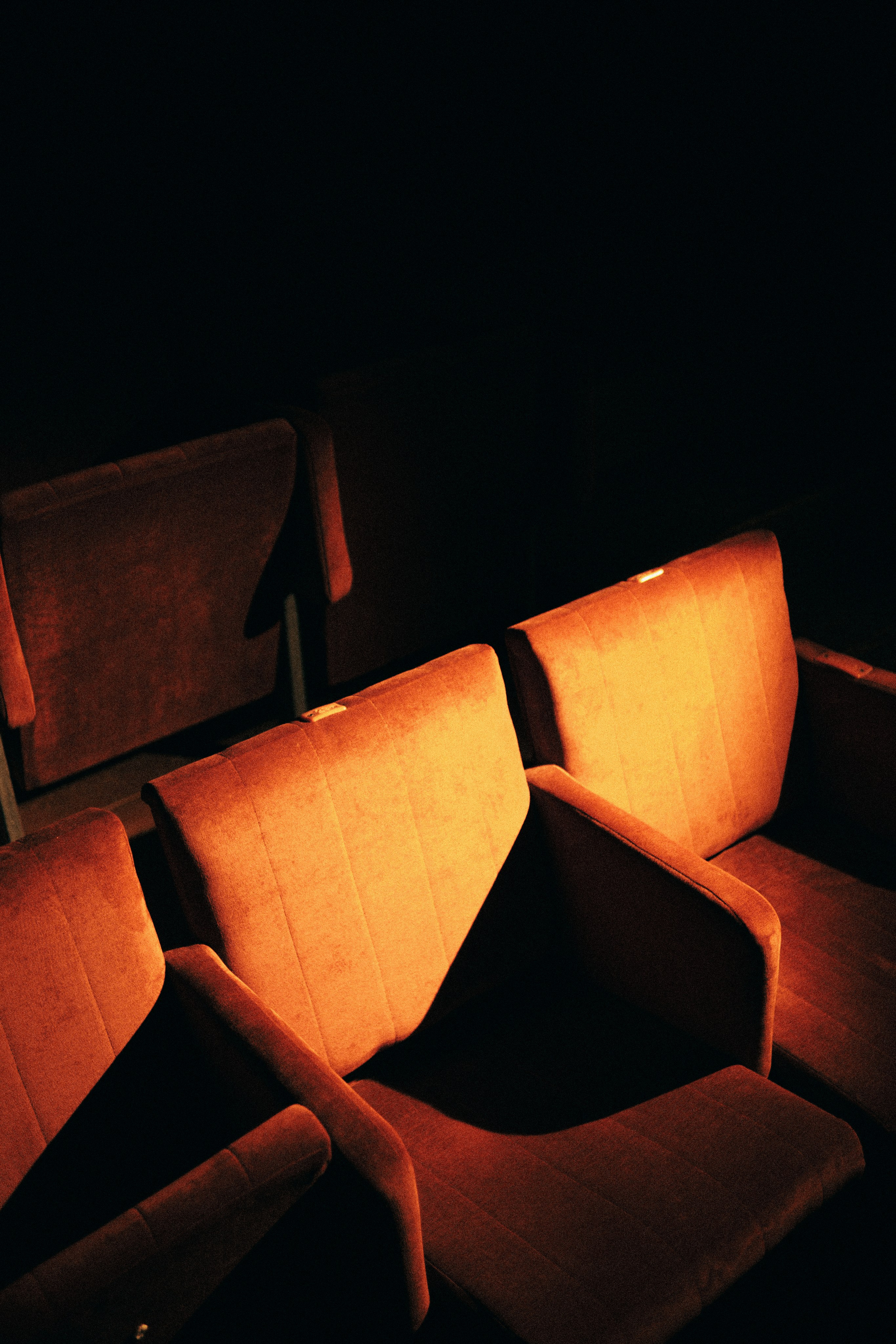 ДК. Свадебный и семейный фотограф Барнаул Рубцовск Бийск Алтайский край