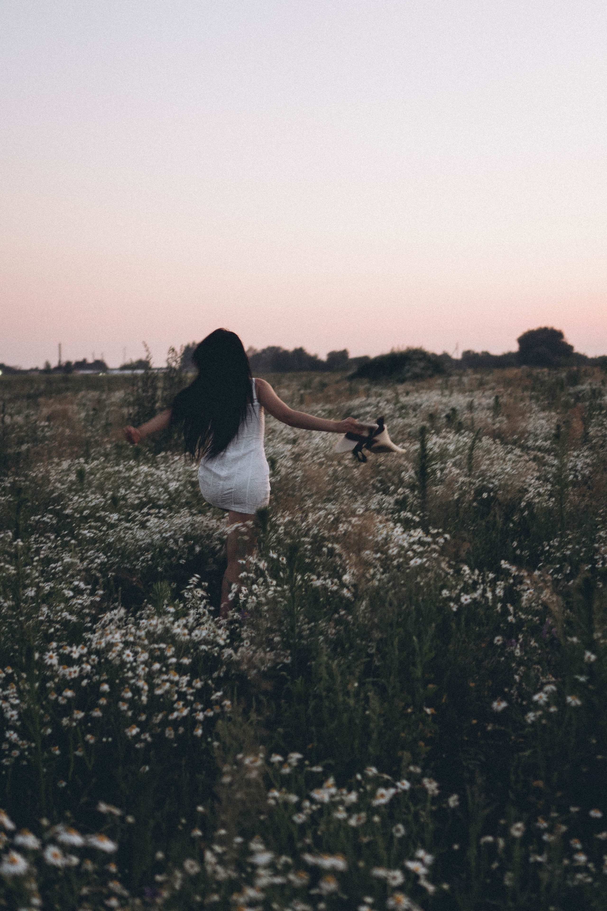 Ромашковое поле. Профессиональный фотограф, Санкт-Петербург — Виктория Богомолова