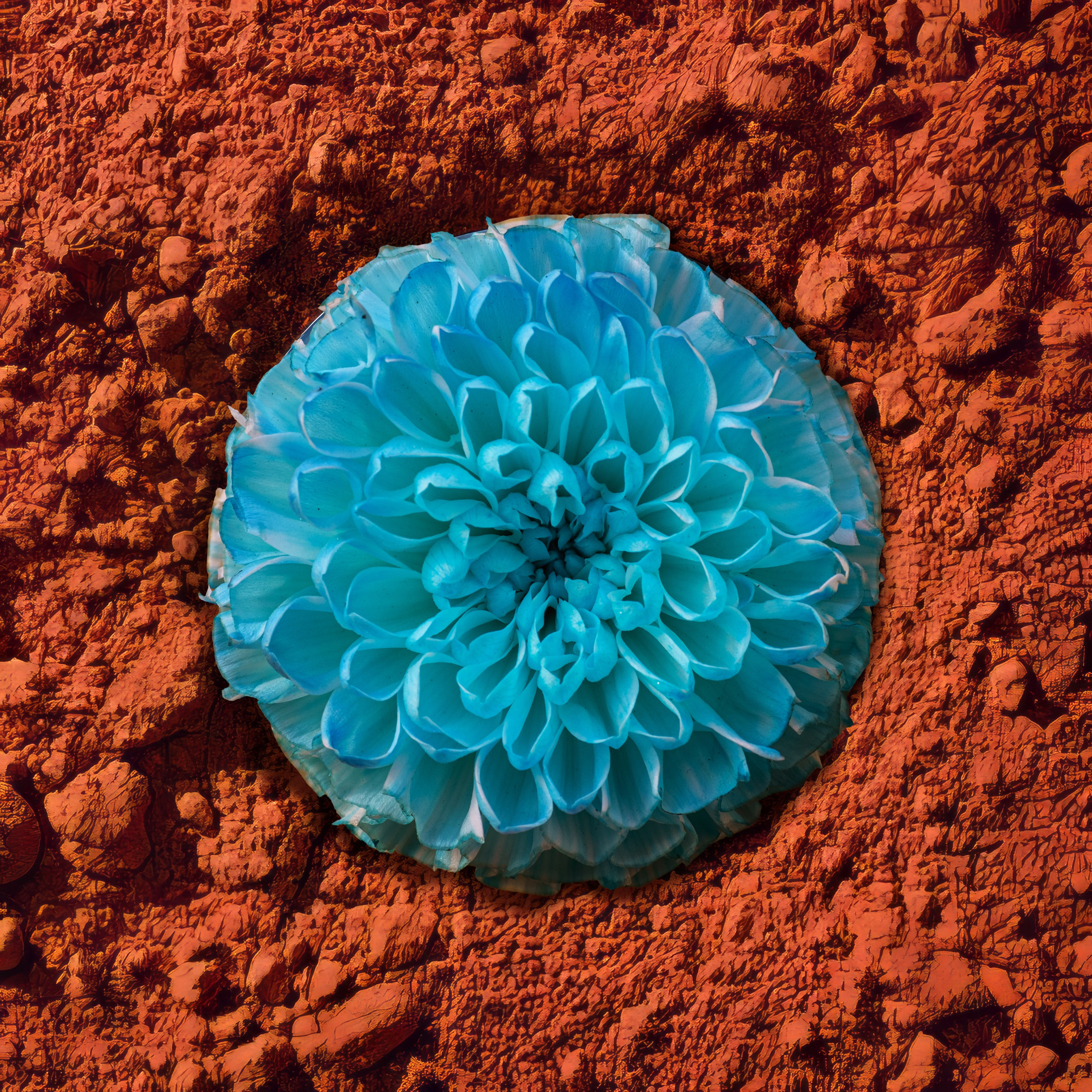 Кубики. Alena Ivochkina — conceptual photographer