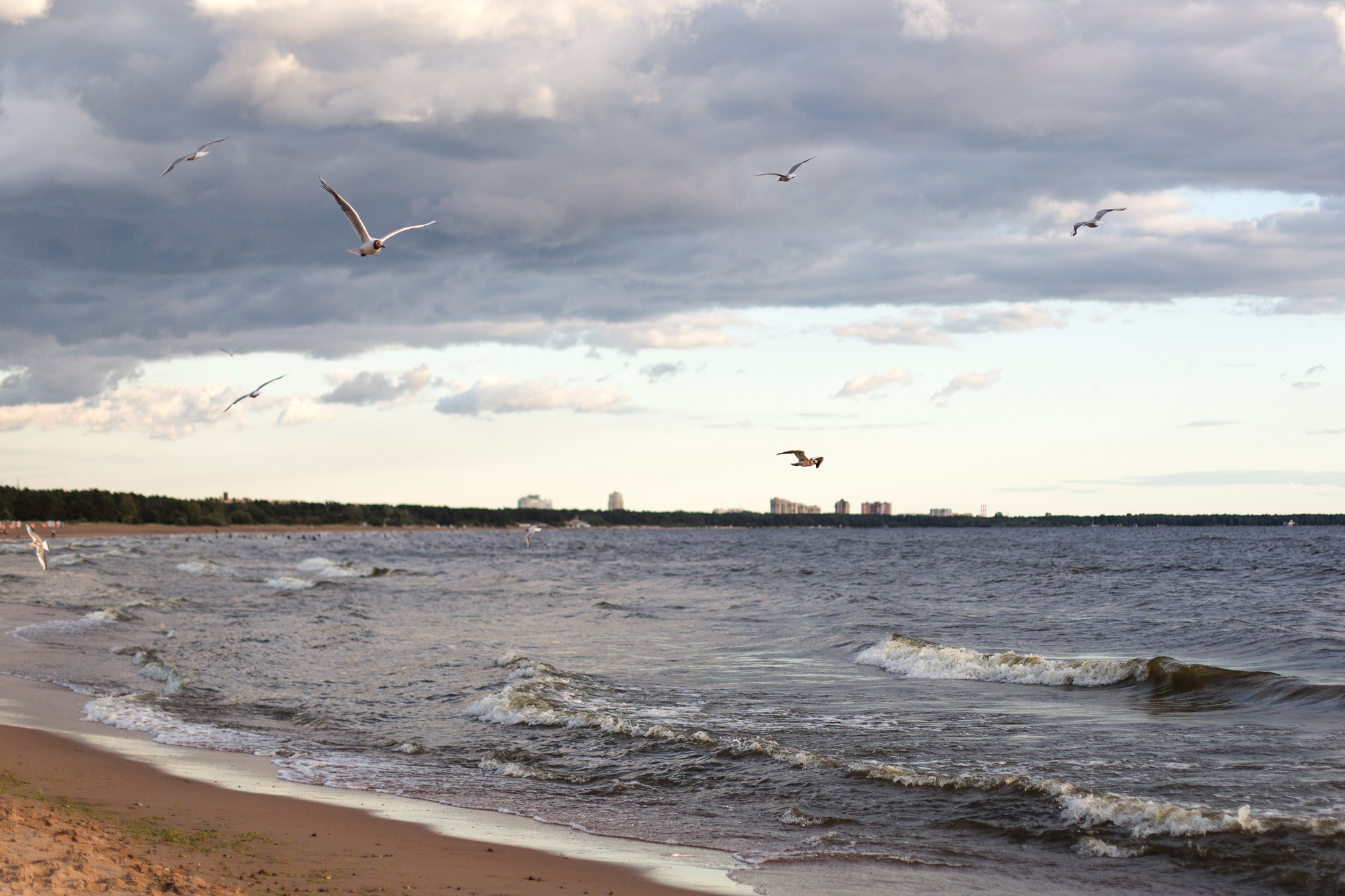 Фотосессия пары на Финском заливе. Свадебный и портретный фотограф в Санкт-Петербурге Надежда Чечулина