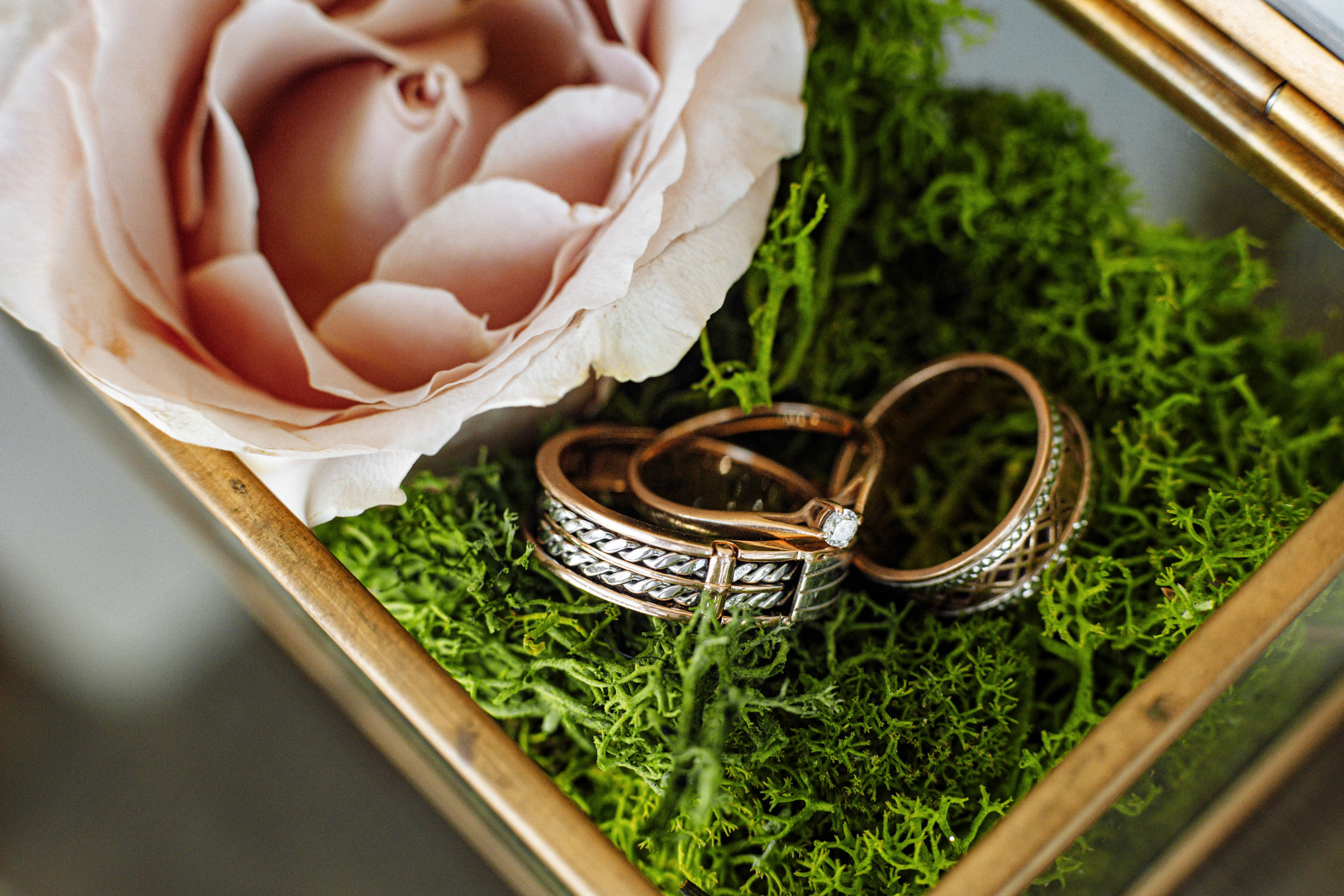 Свадебный фотограф  Анна Руданова. Свадьба Дмитрия и Оксаны