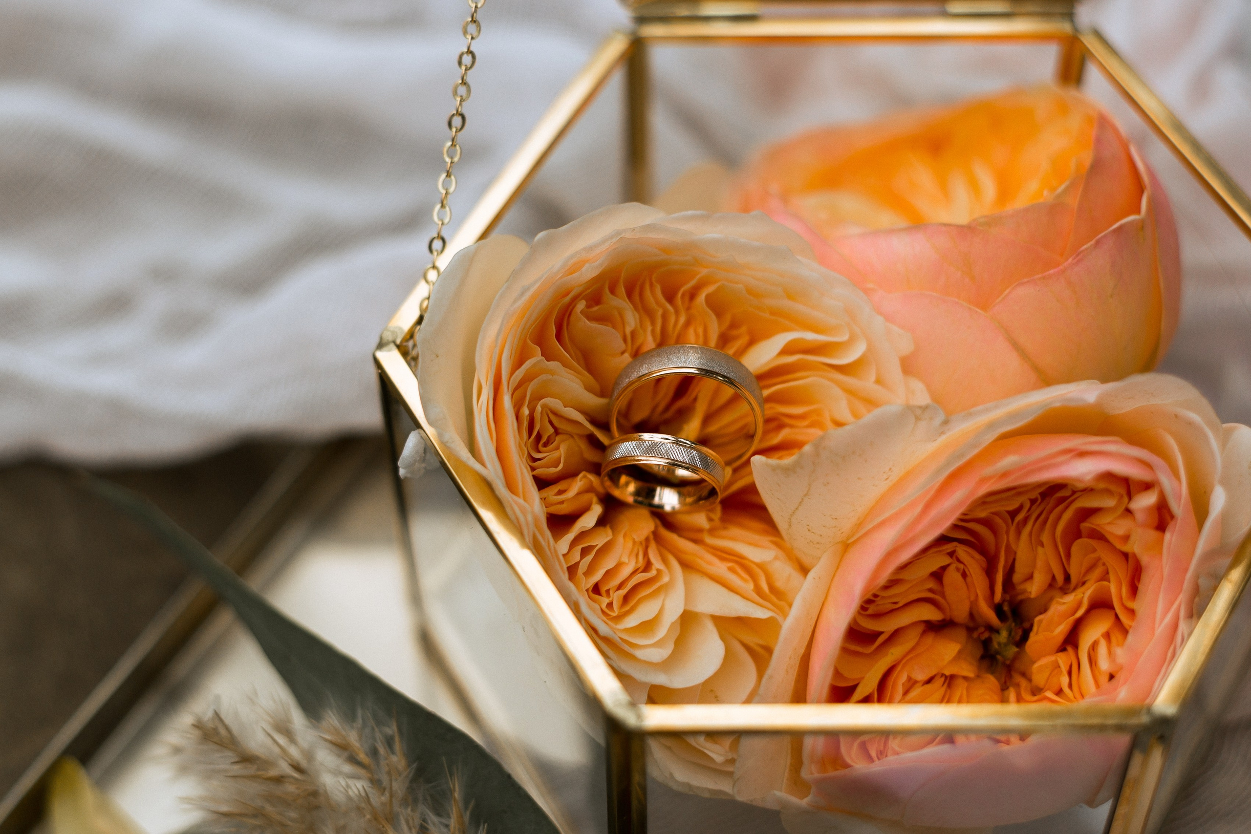 Свадебная фотосессия в оранжерее. Свадебный и семейный фотограф в Волгограде Кристина Иванова