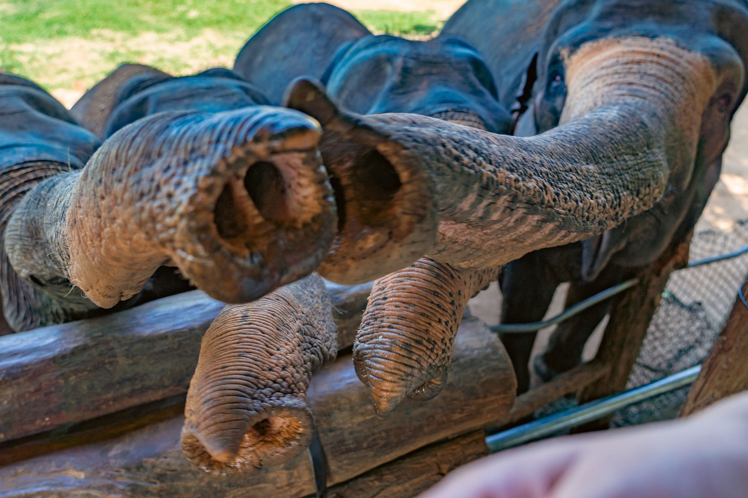 Promo content shooting for Ceylon Forward Tours