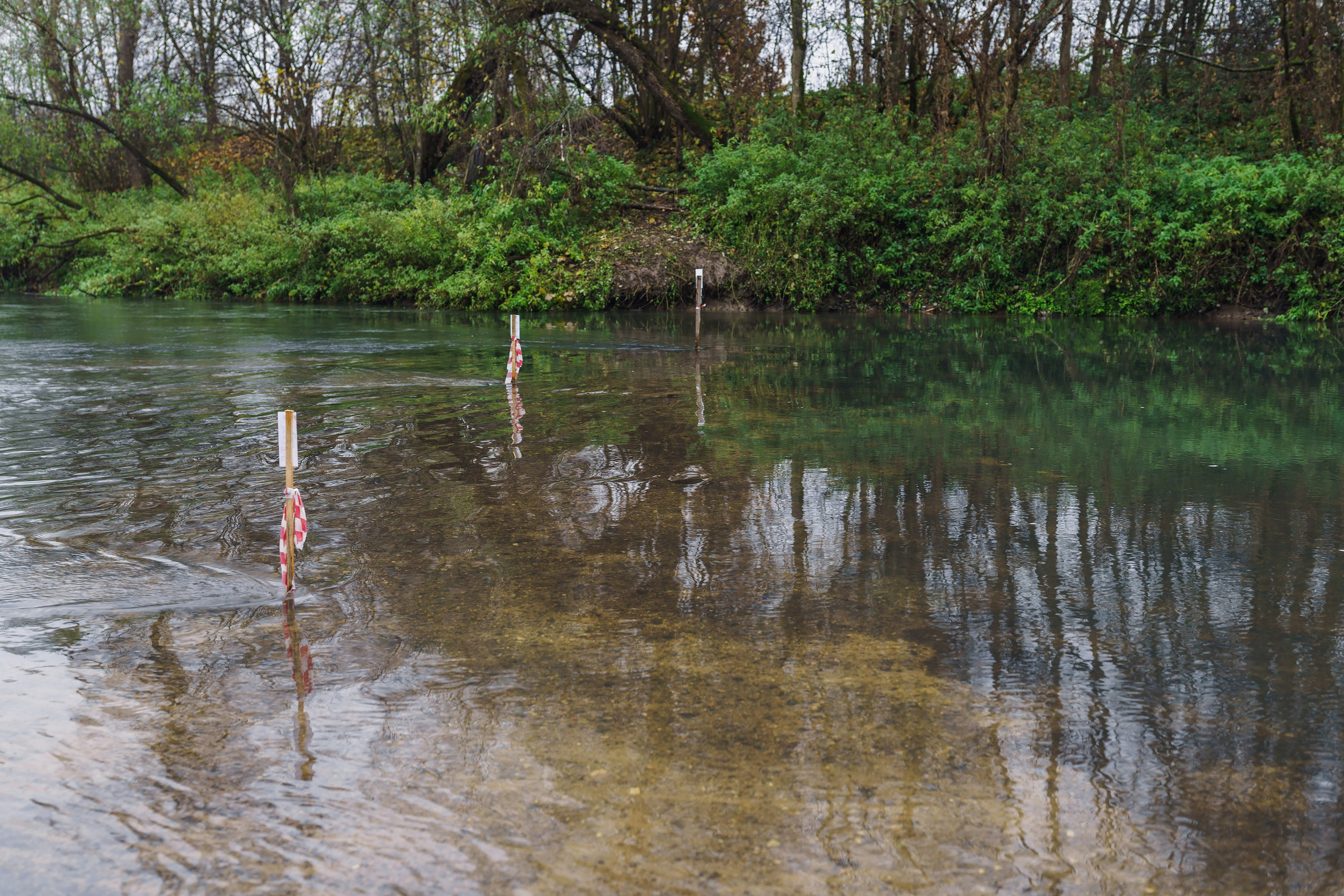 Фотографии Трейл Кутузов 2025. Фотограф спортивные события, недвижимость, турбизнес