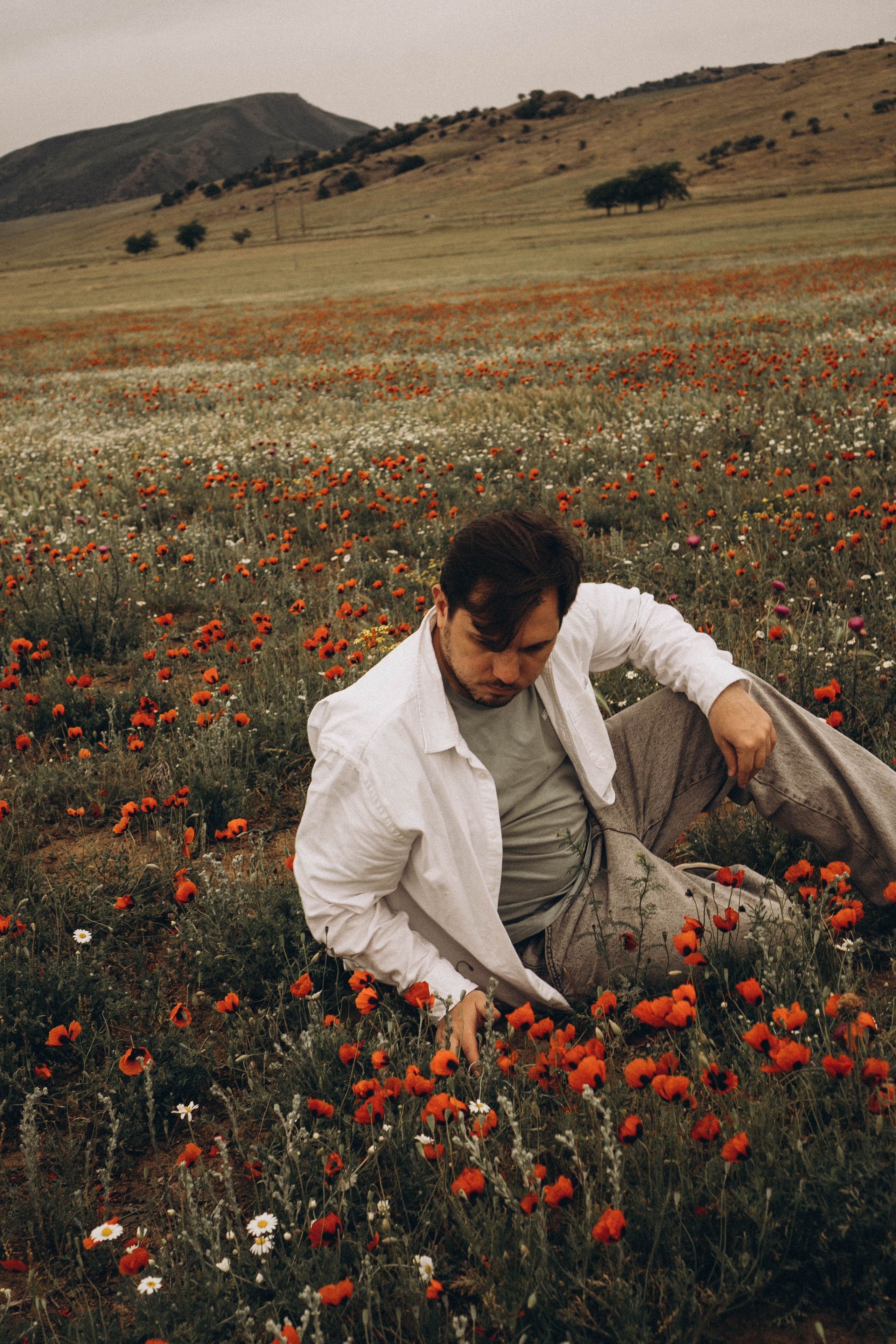 Маки. Профессиональный фотограф, Санкт-Петербург — Виктория Богомолова