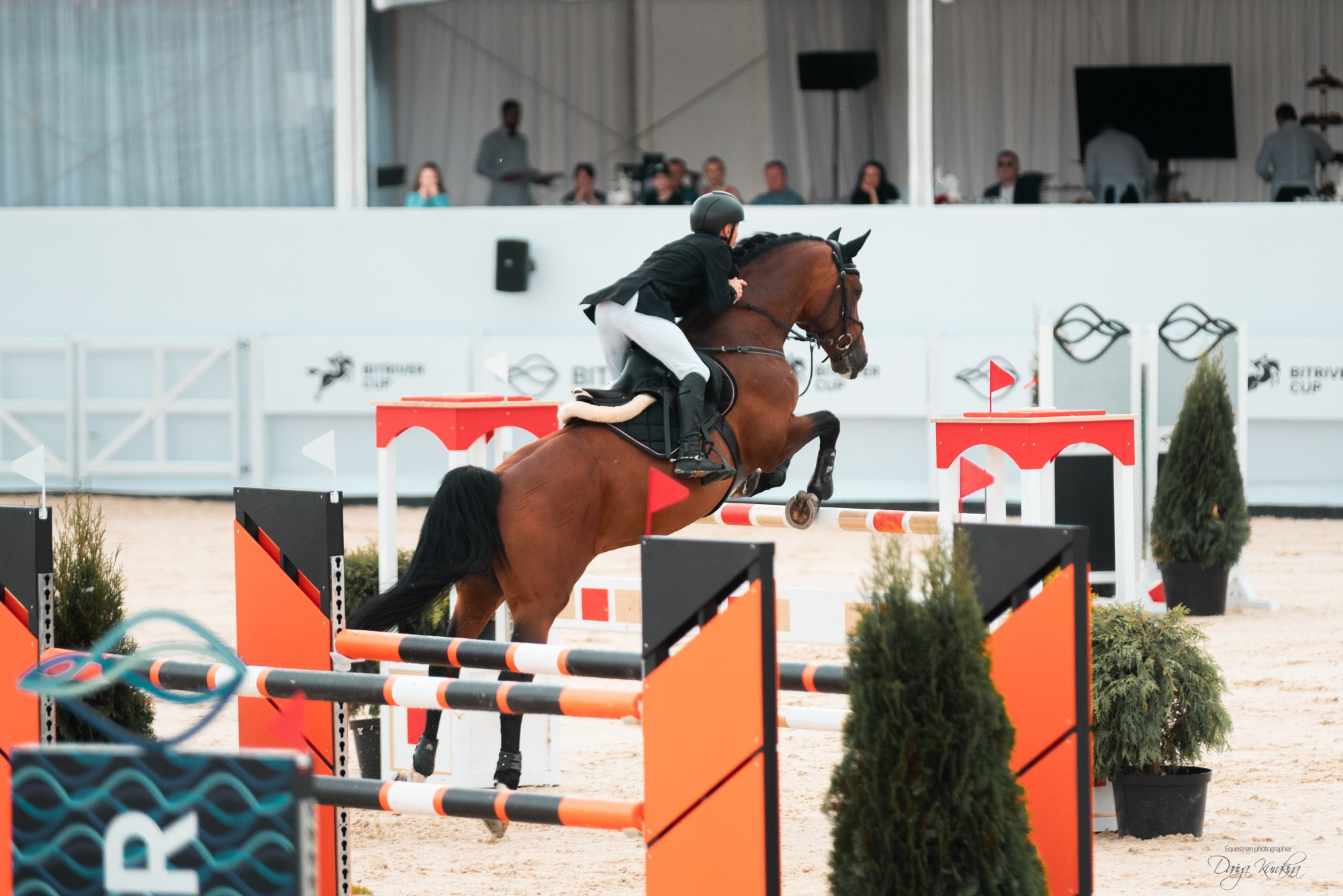 BITRIVER CUP 2023. Конный фотограф Куракина Дарья • Фотосессии с лошадьми