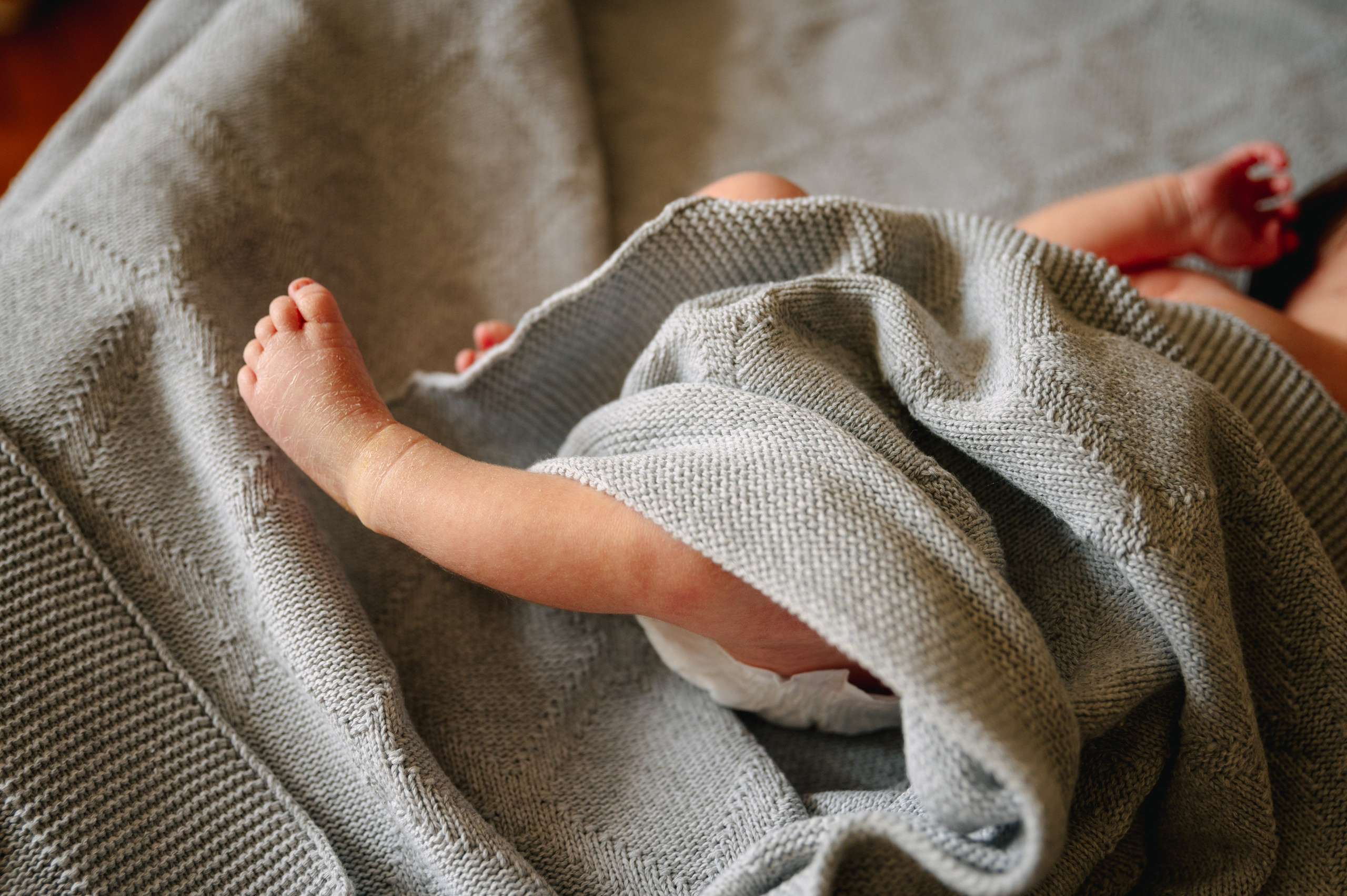 КАТЯ, КОЛЯ И ЗЛАТА. Шашкова Вероника / Свадебный и семейный фотограф Москва и Ярославль