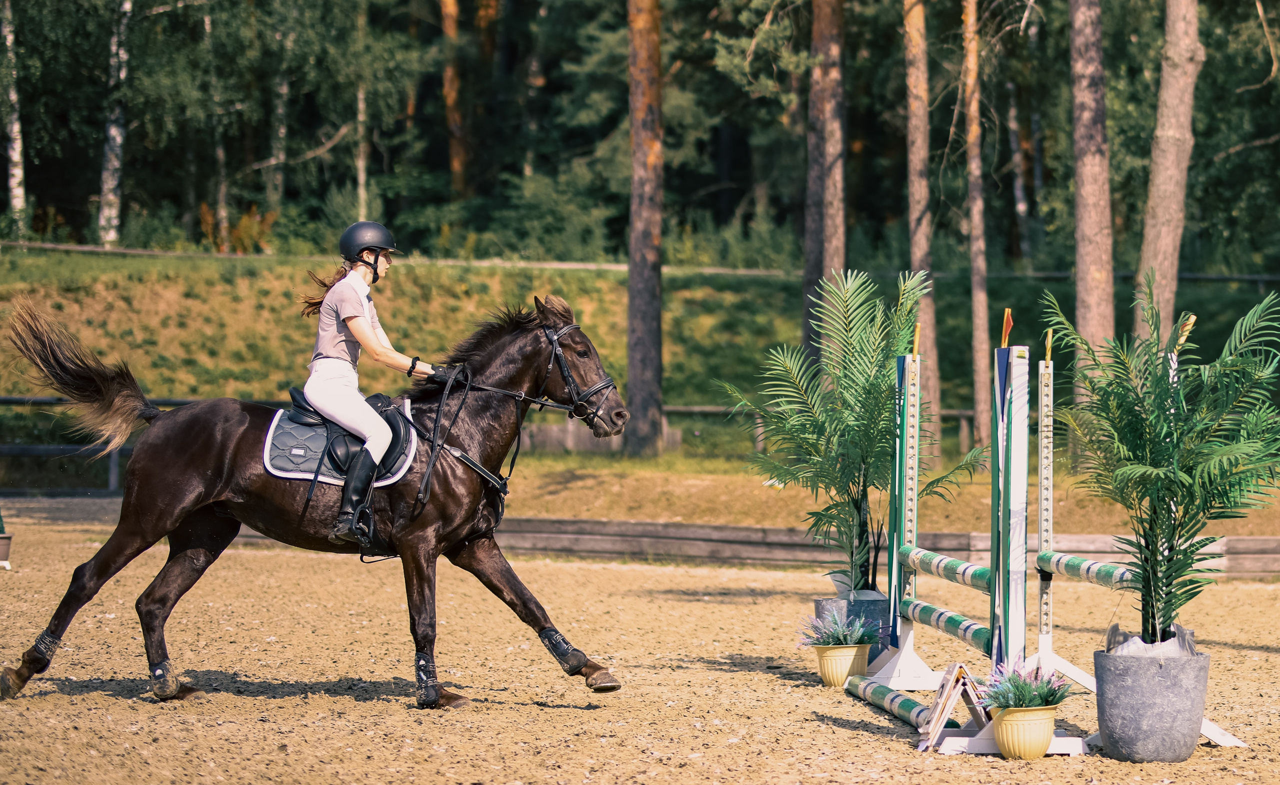 Лошади. Фотограф репортажей и стритфотосессий в Москве Людмила Смирнова