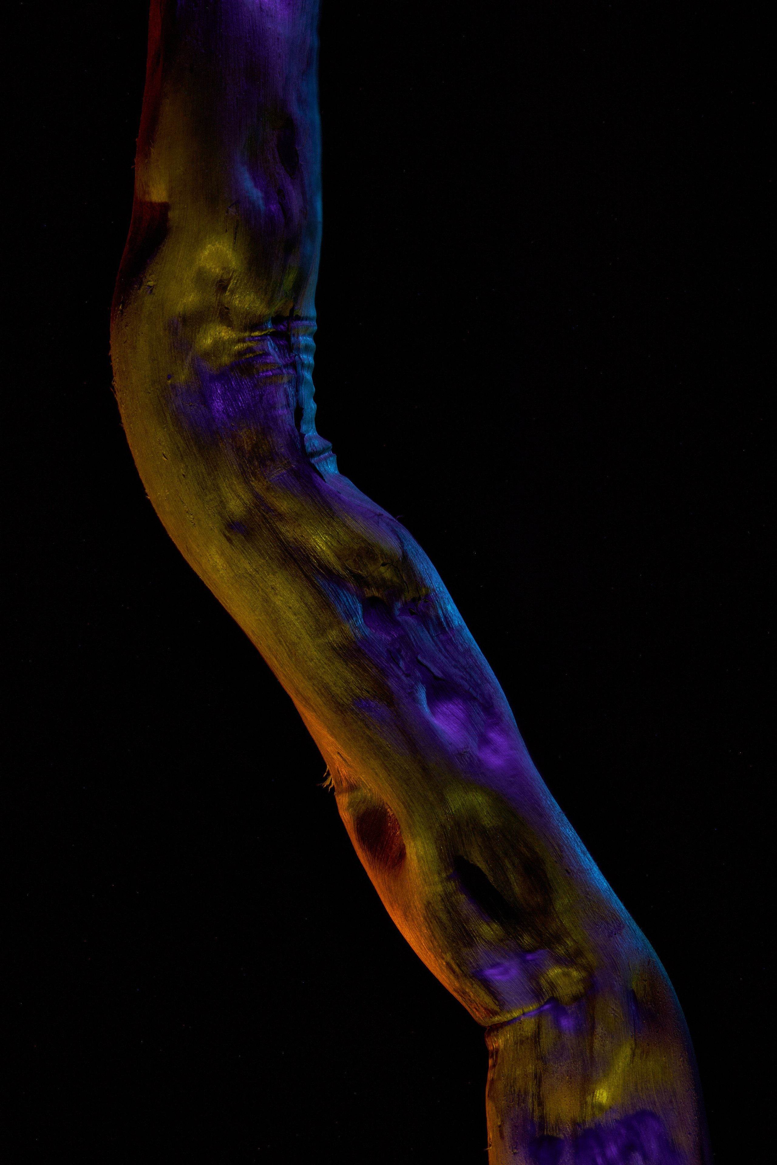 «Красок Тьма Полна». Арт-фотограф во Владивостоке Дмитрий Осипчук