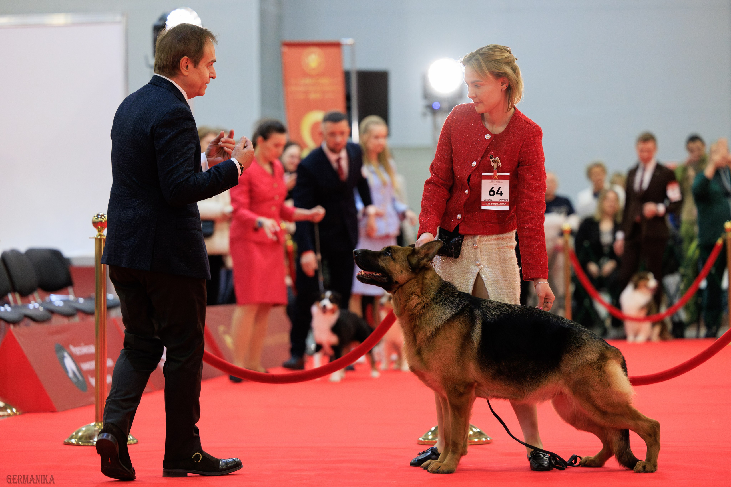 Лучшие Собаки России 17-18.02.2024. Фотограф-анималист Юлия Германика