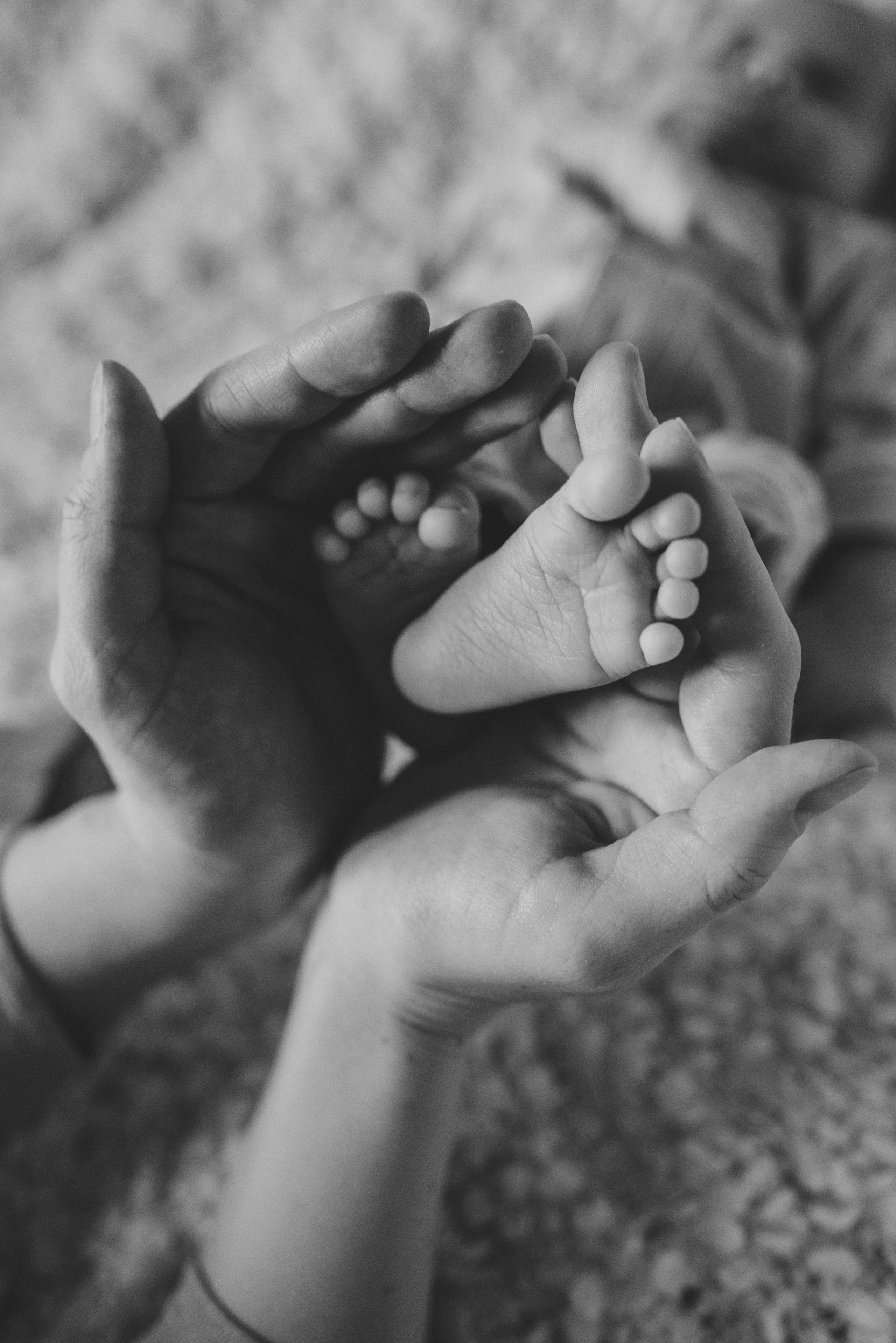 Новорожденные и Материнство. Семейный фотограф в Москве Дарья Пузикова