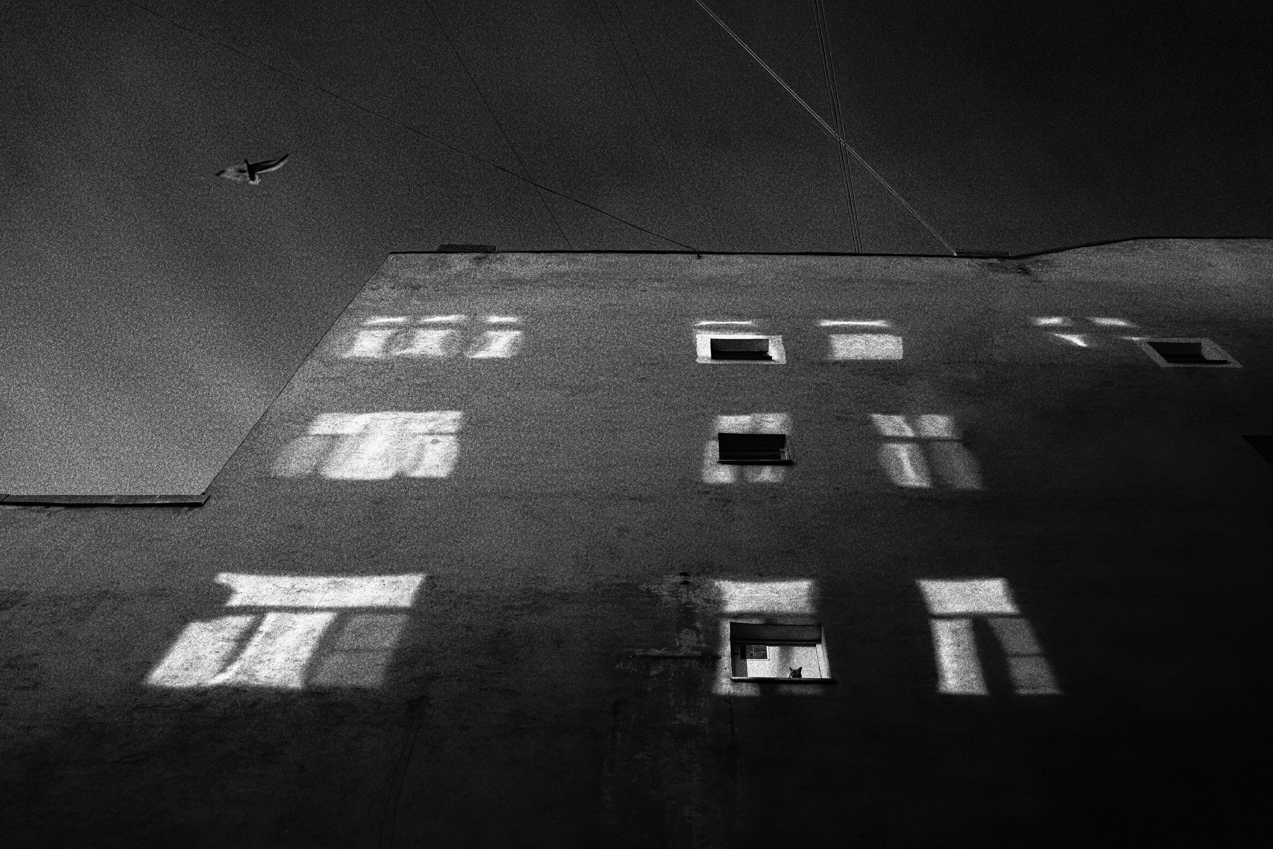 Особый взгляд на людей. Сергей Гаврилов, фотограф