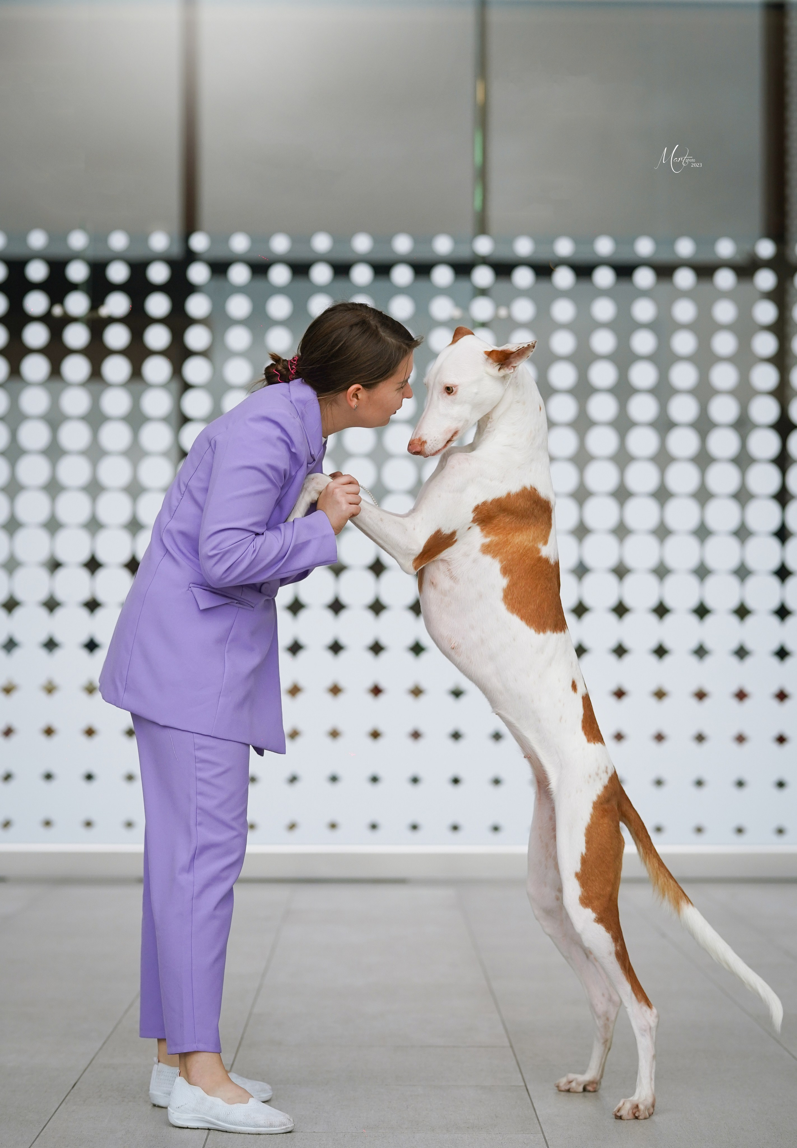 Выставки 2023. Фотограф-анималист в Санкт-Петербурге Яна Мартынова