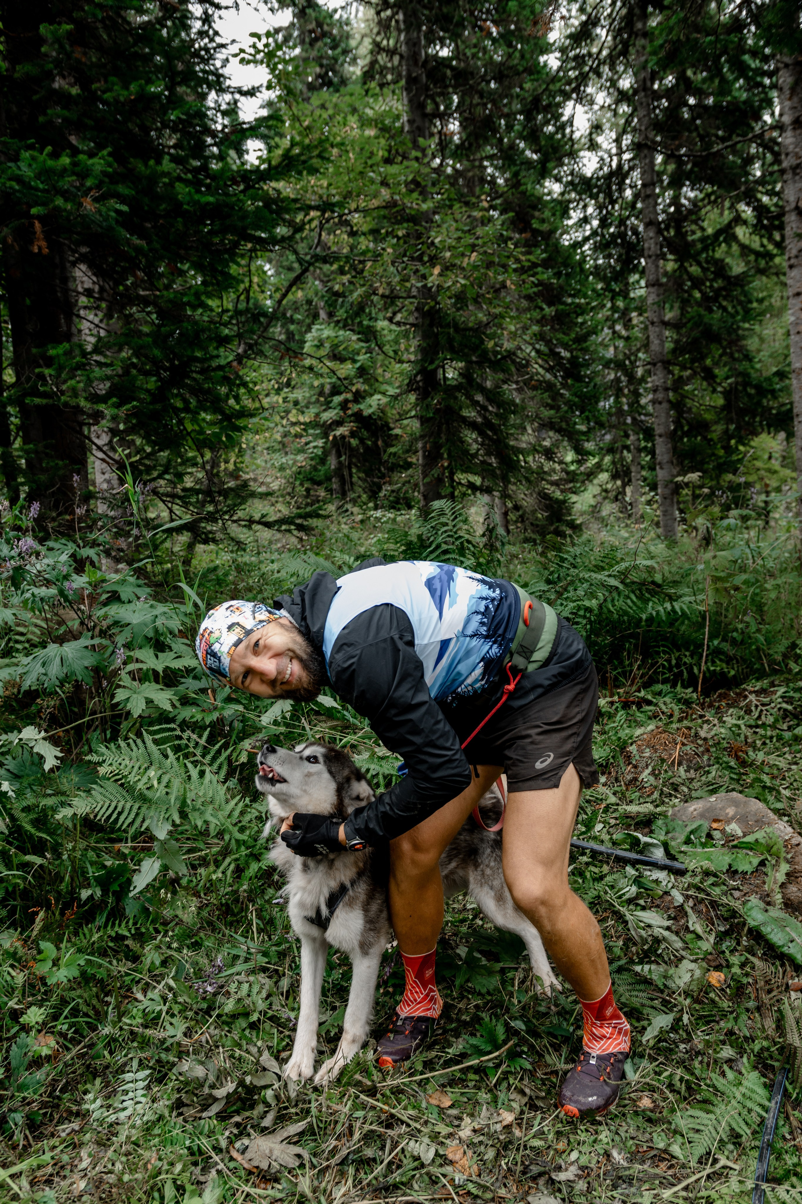 Дог-треккинг