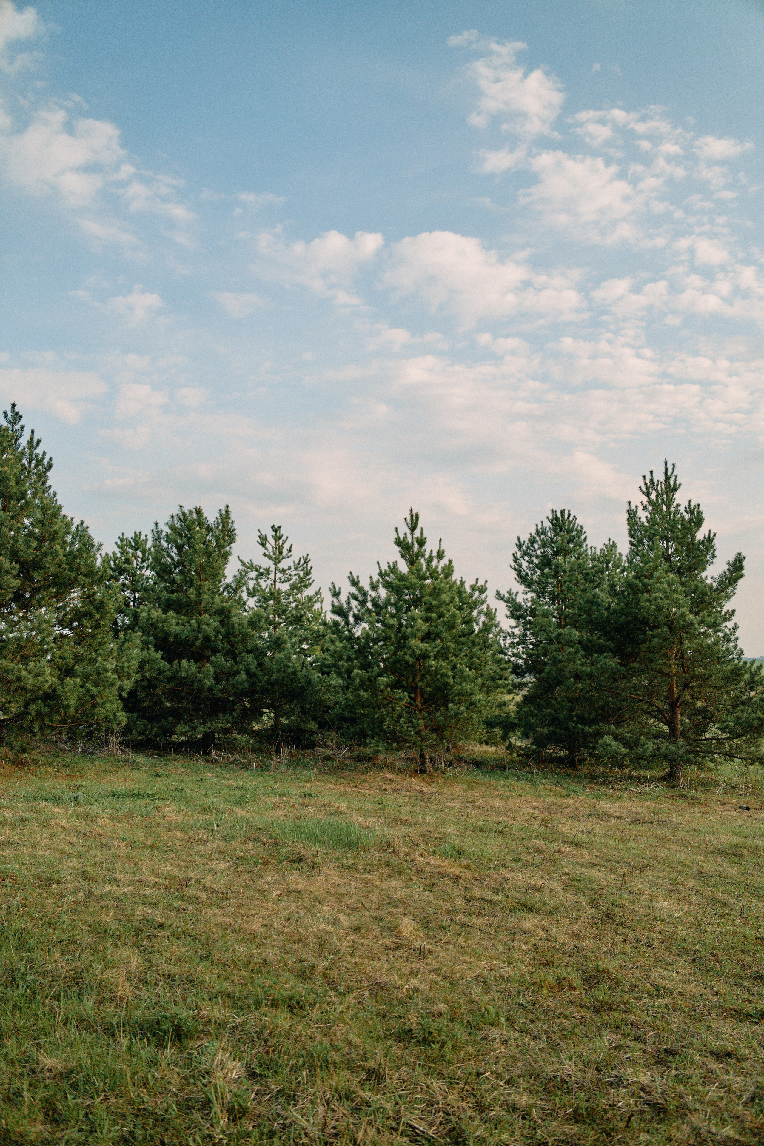 Бутик-отель Поле летом. Профессиональный Фотограф во Владимире, в Москве и в Суздале — Полина Романычева