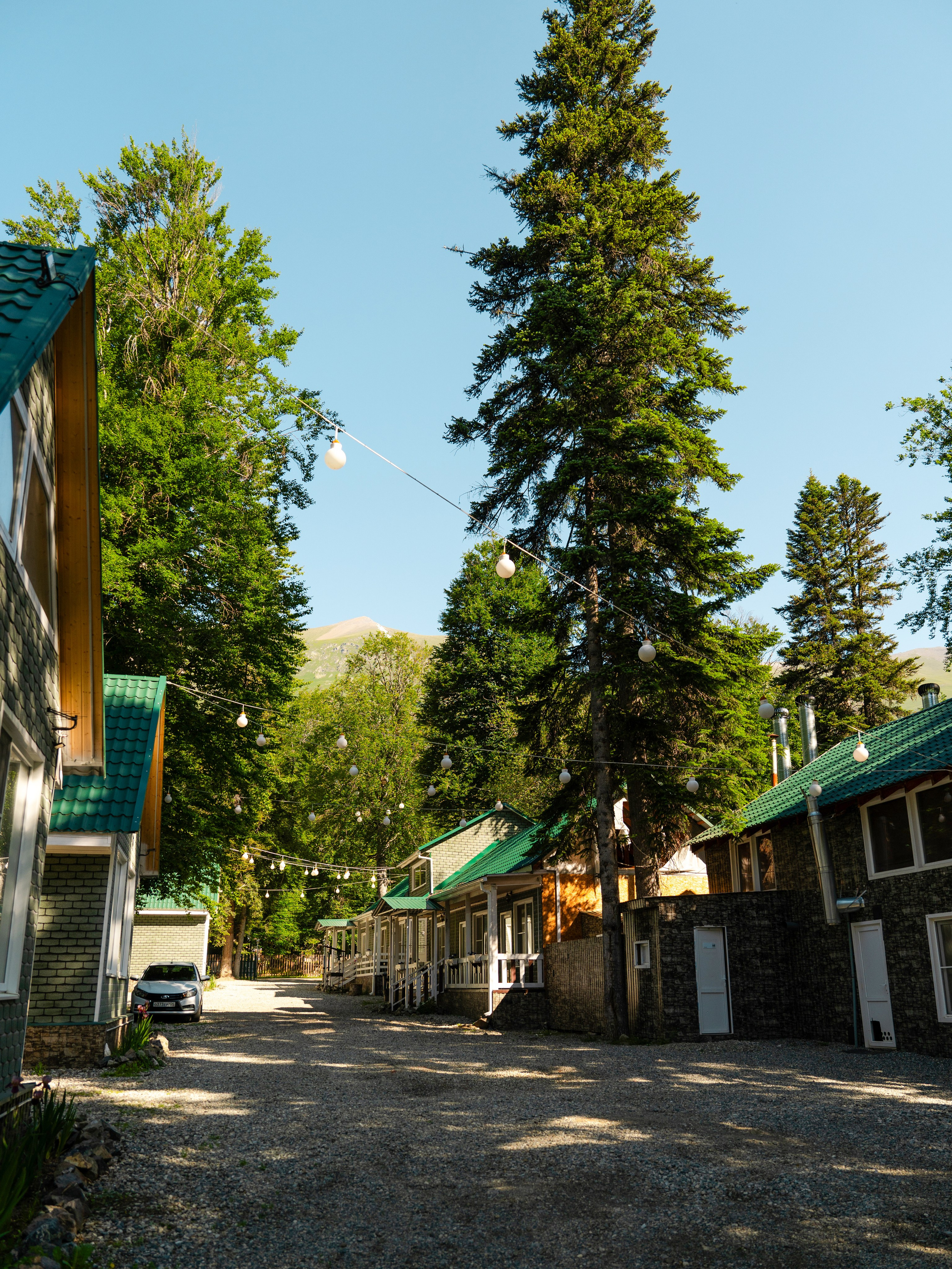 Green Park. Фотограф и видеограф Елена Хмелевская