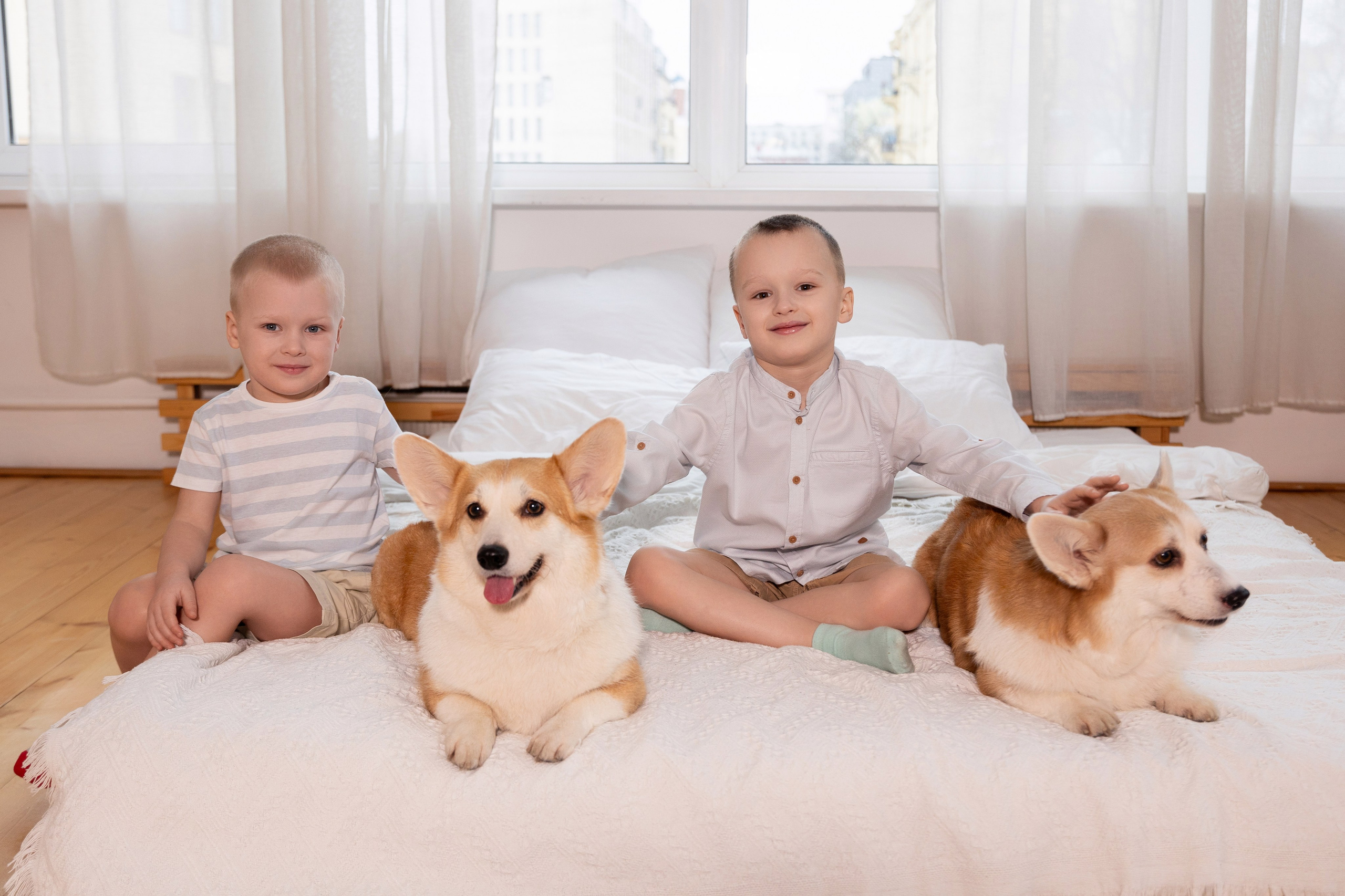 Фотосессия с корги. Семейный и свадебный фотограф в Санкт-Петербурге Татьяна Швыкова