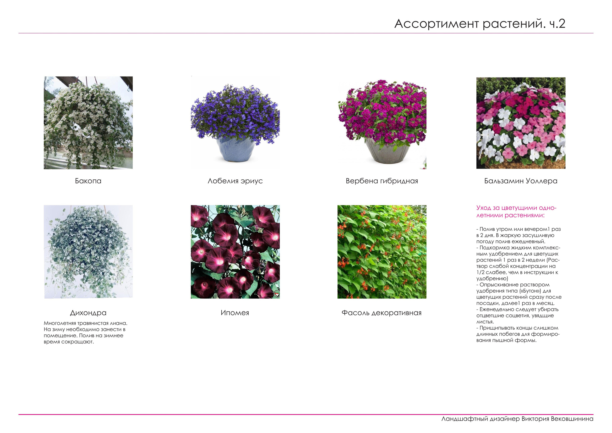 Проект озеленения. Ландшафтная архитектура, проектирование и дизайн садов