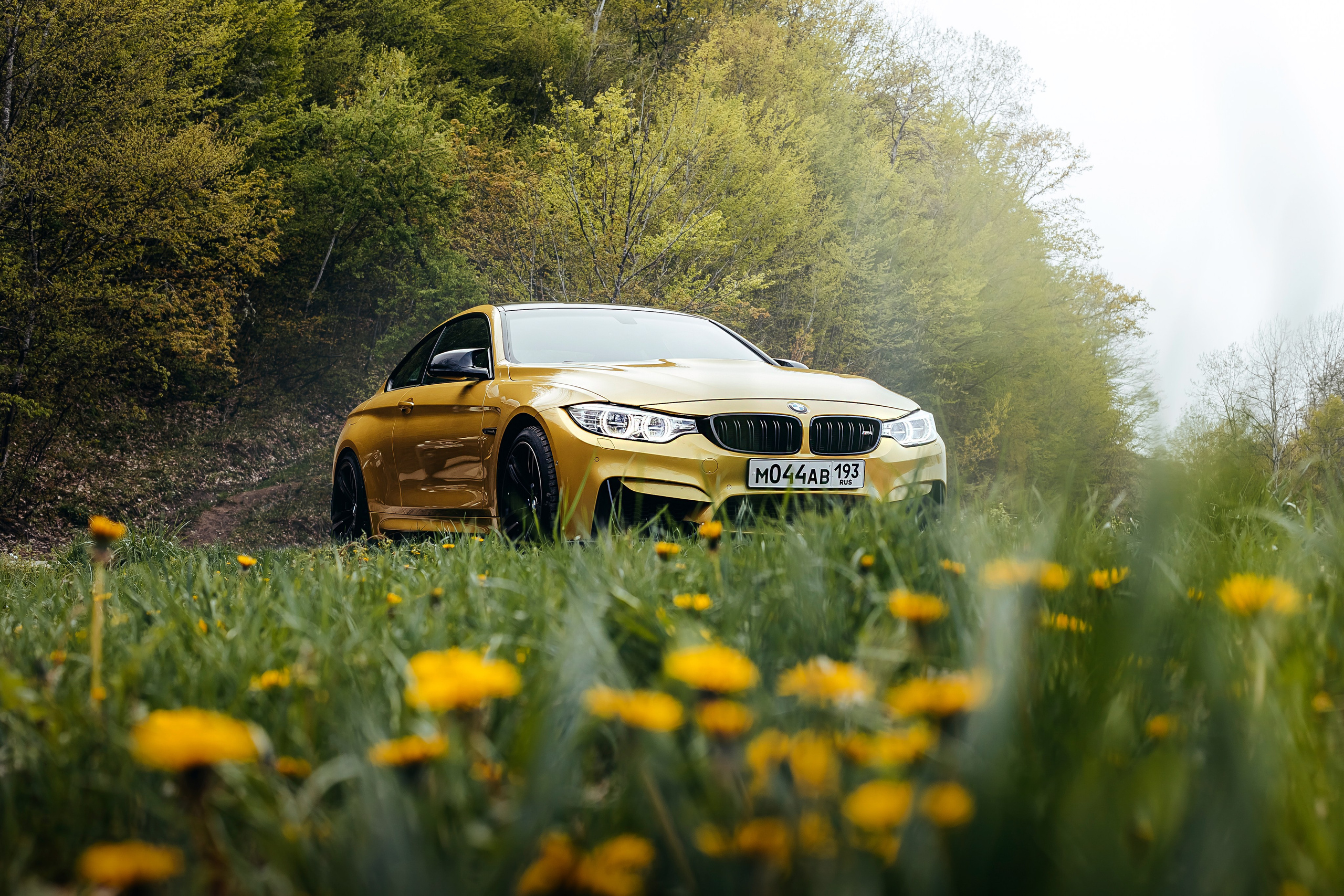 Автомобильный фотограф, видеограф в Краснодаре Левшакова Анжелика